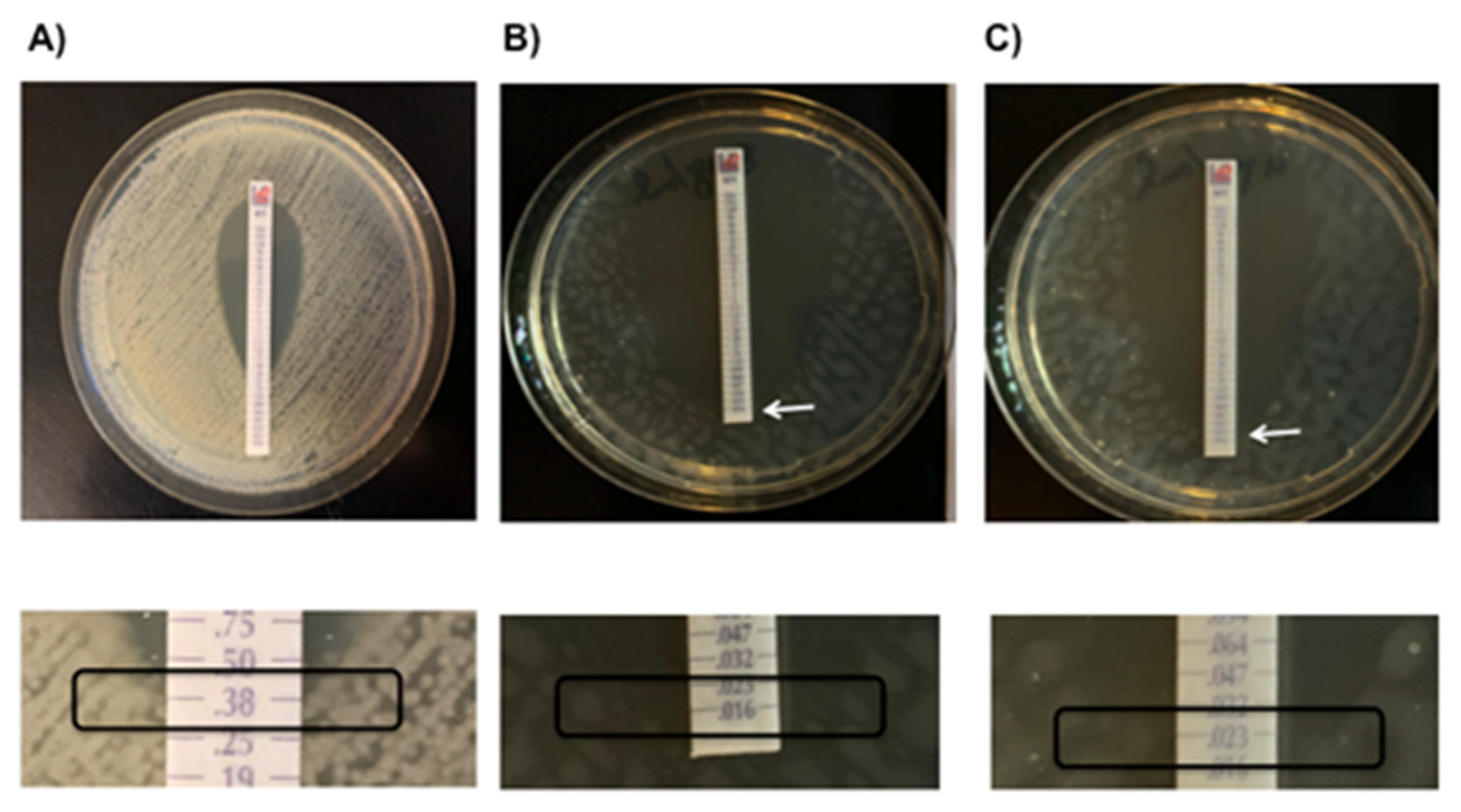 Antibiotics 10 00781 g002
