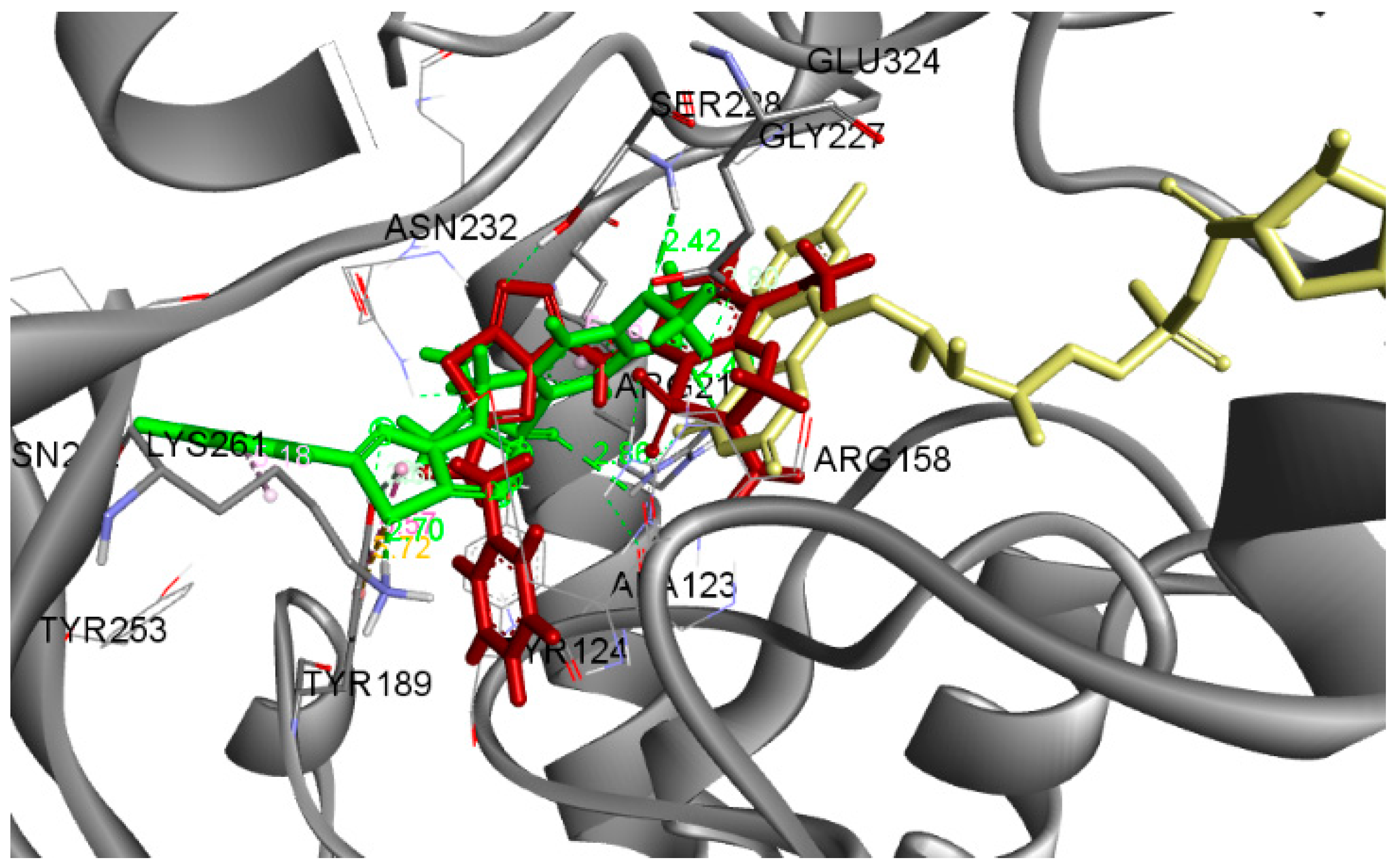 Antibiotics 10 00804 g002