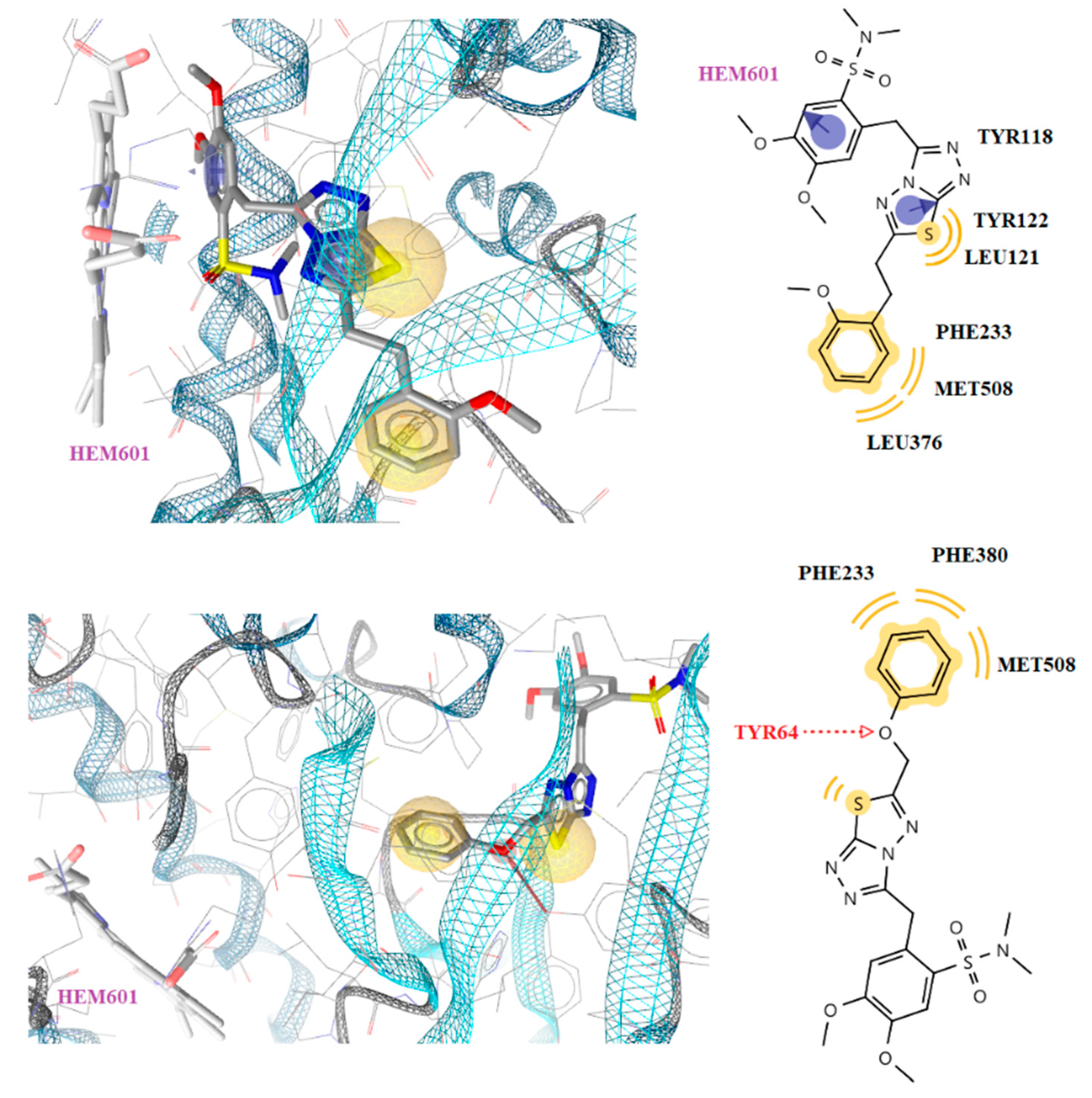 Antibiotics 10 00804 g004
