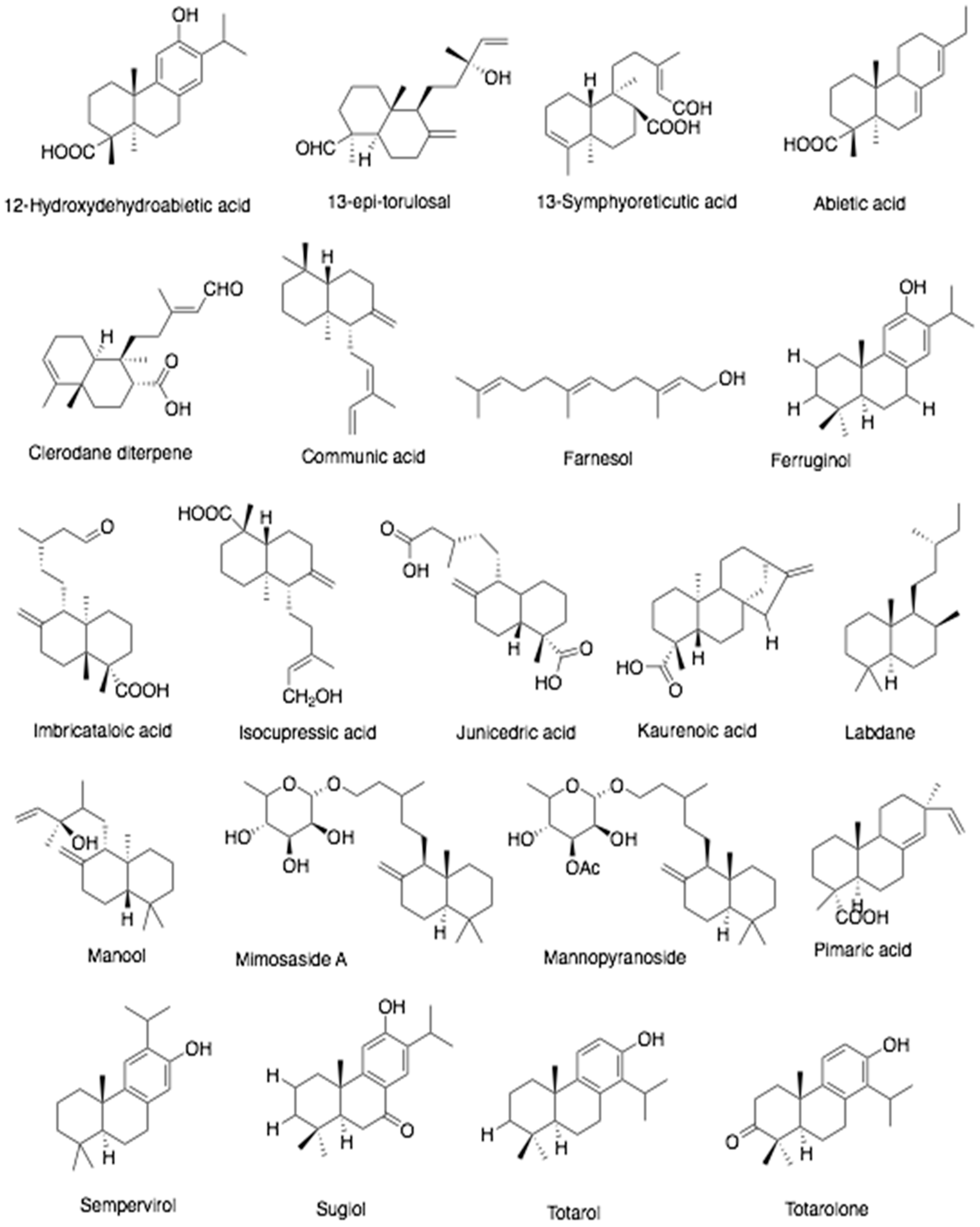 Antibiotics 10 00822 g006