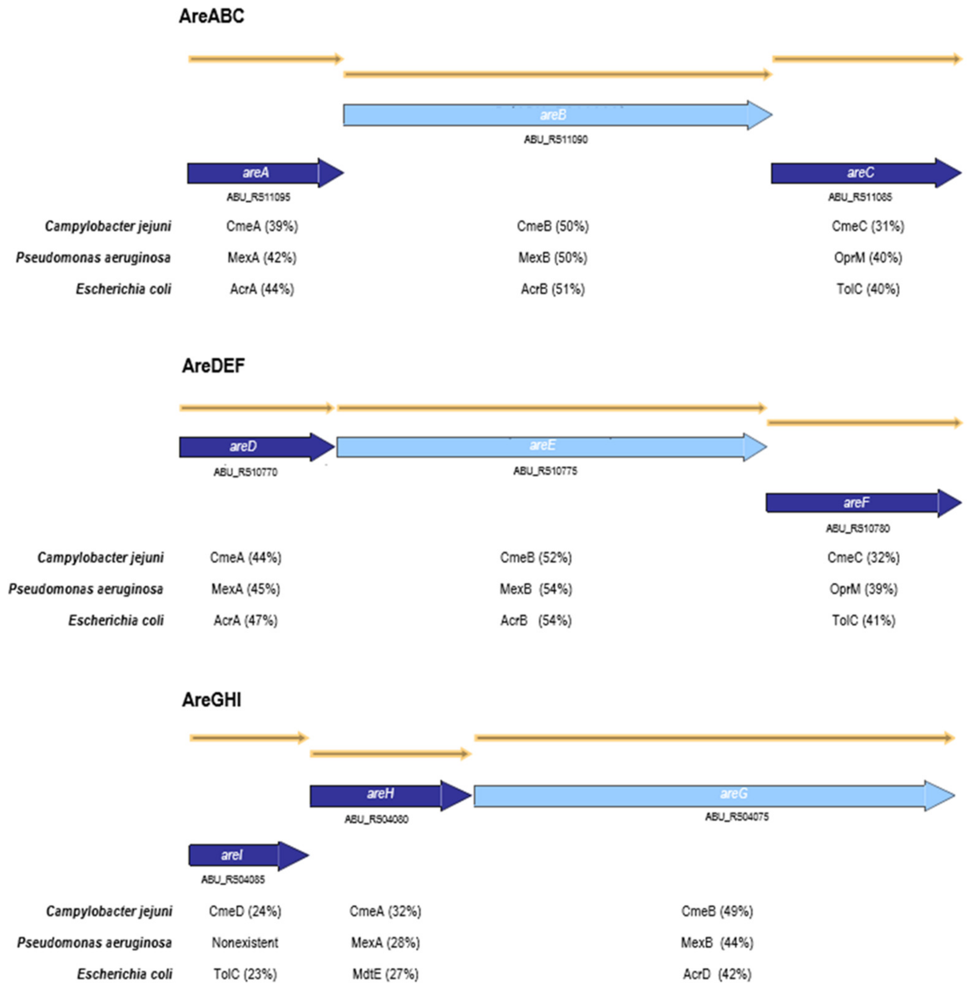 Antibiotics 10 00823 g001