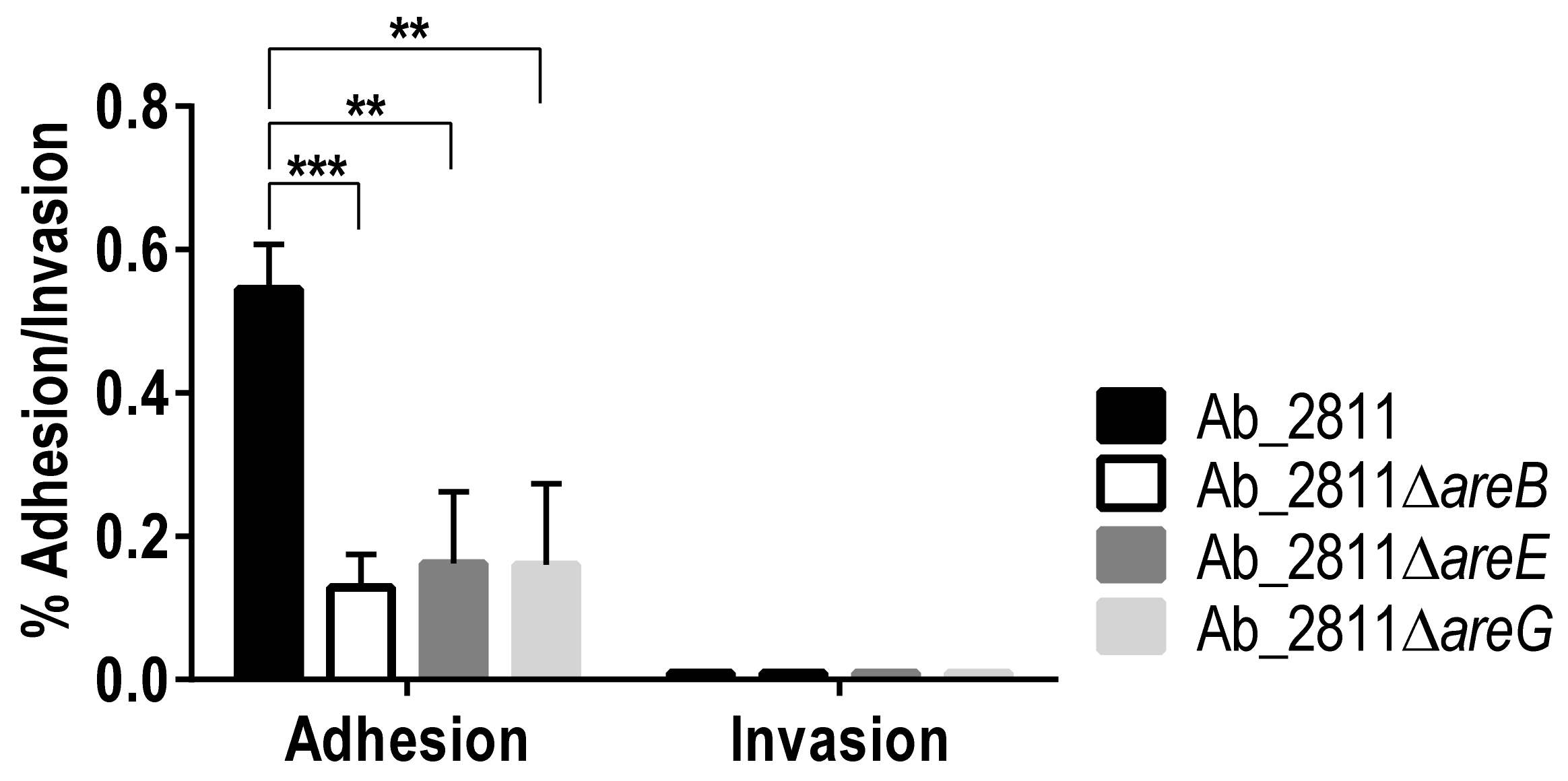 Antibiotics 10 00823 g008