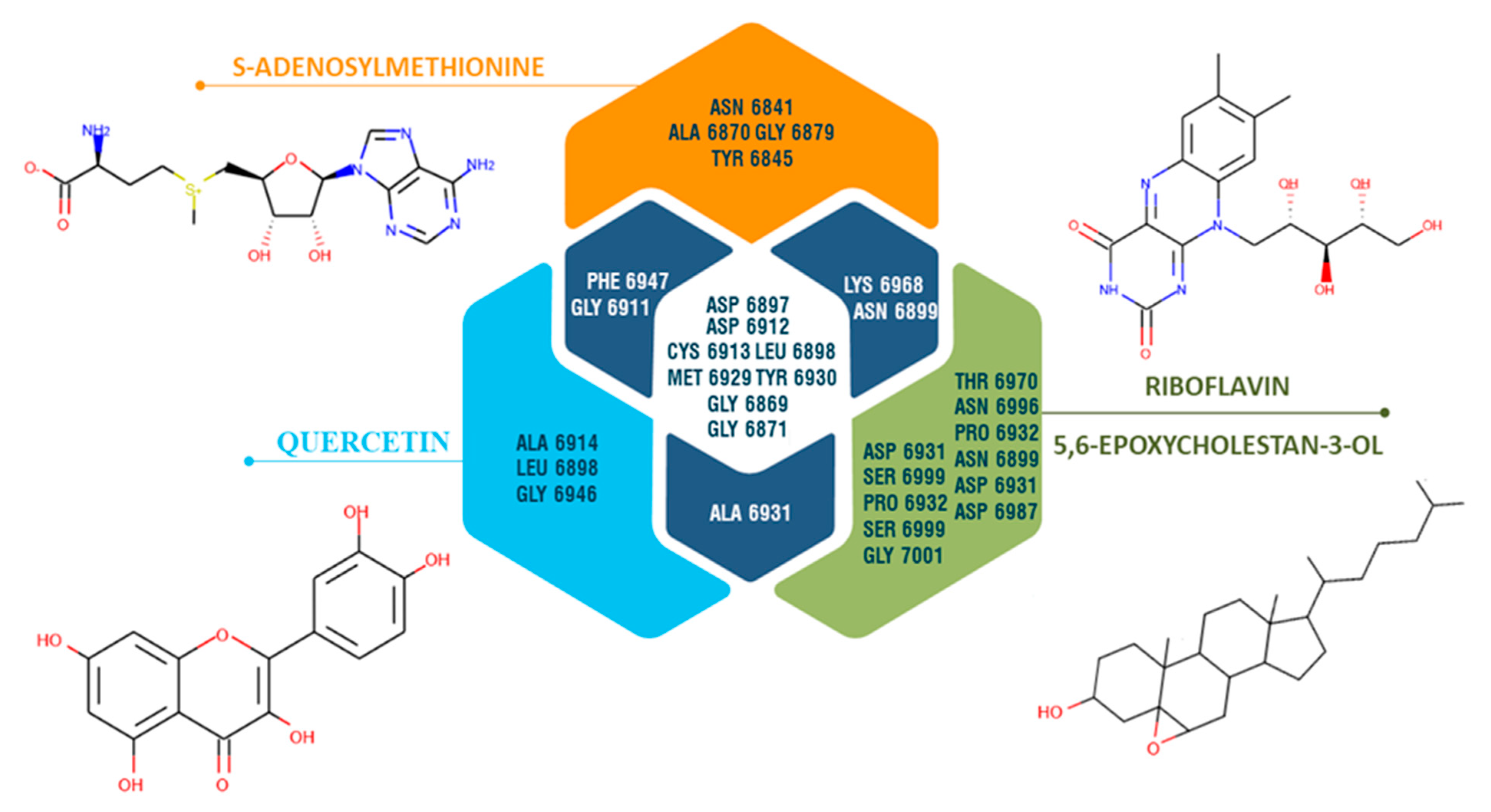 Antibiotics 10 00824 g006