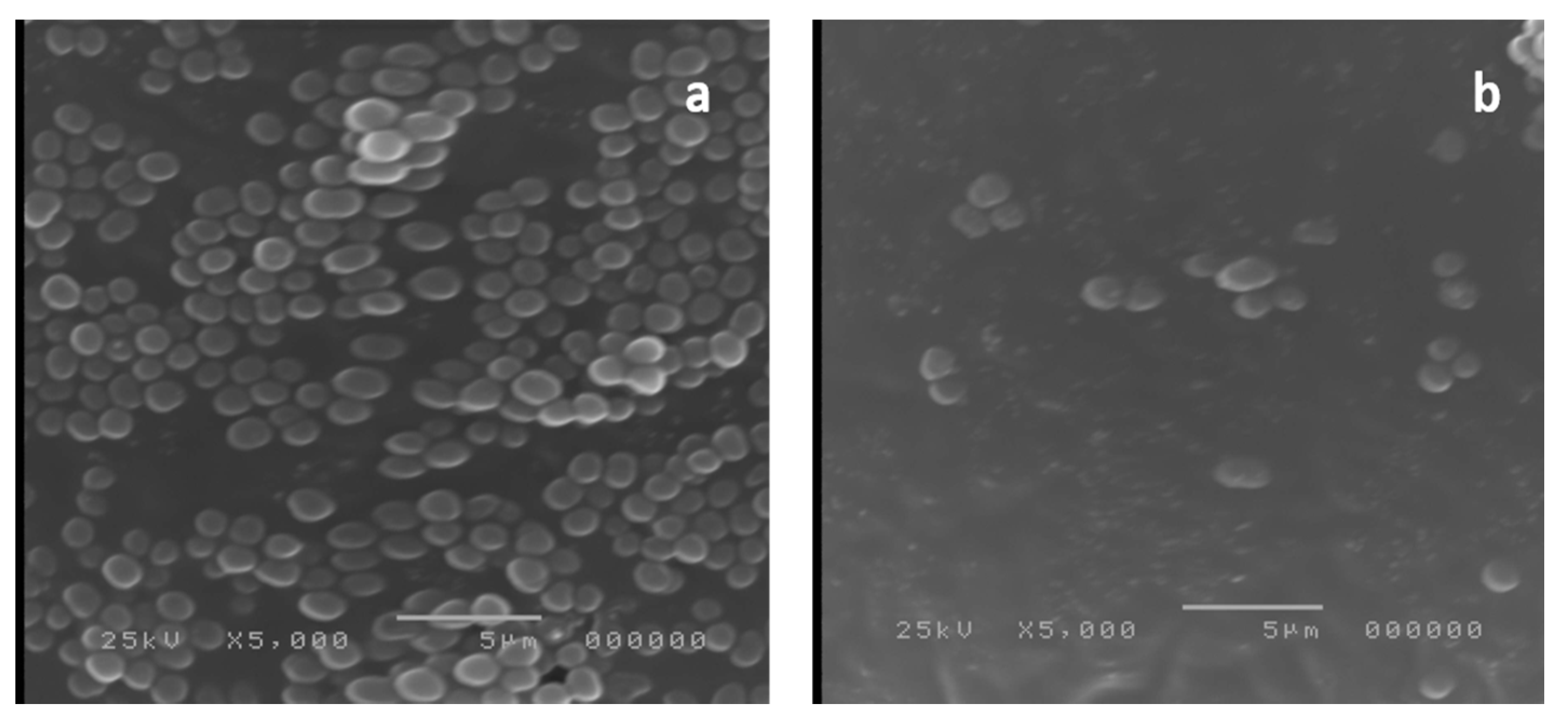 Antibiotics 10 00859 g008 Antibiotics 10 00859 g008