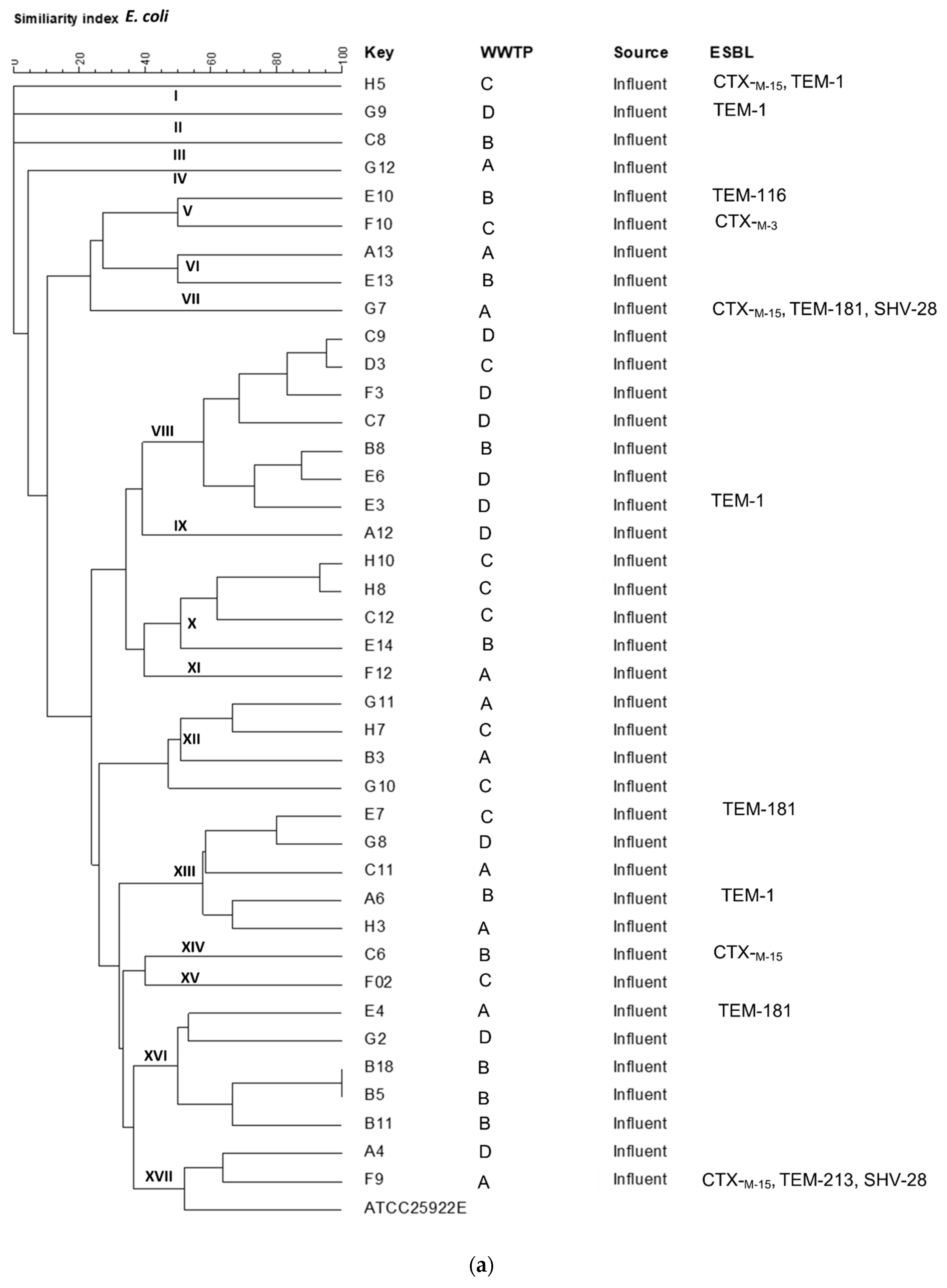 Antibiotics 10 00860 g002a