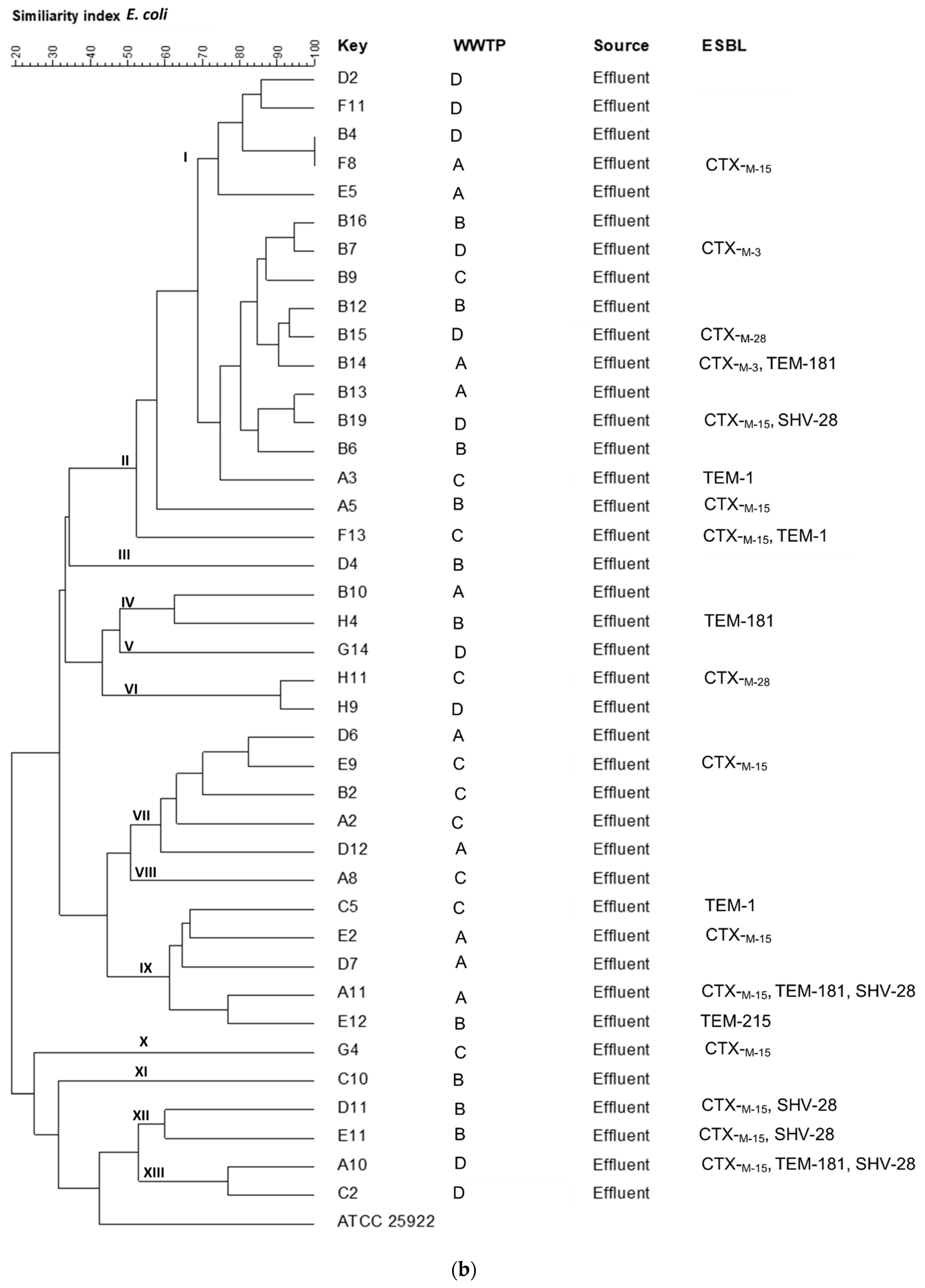 Antibiotics 10 00860 g002b