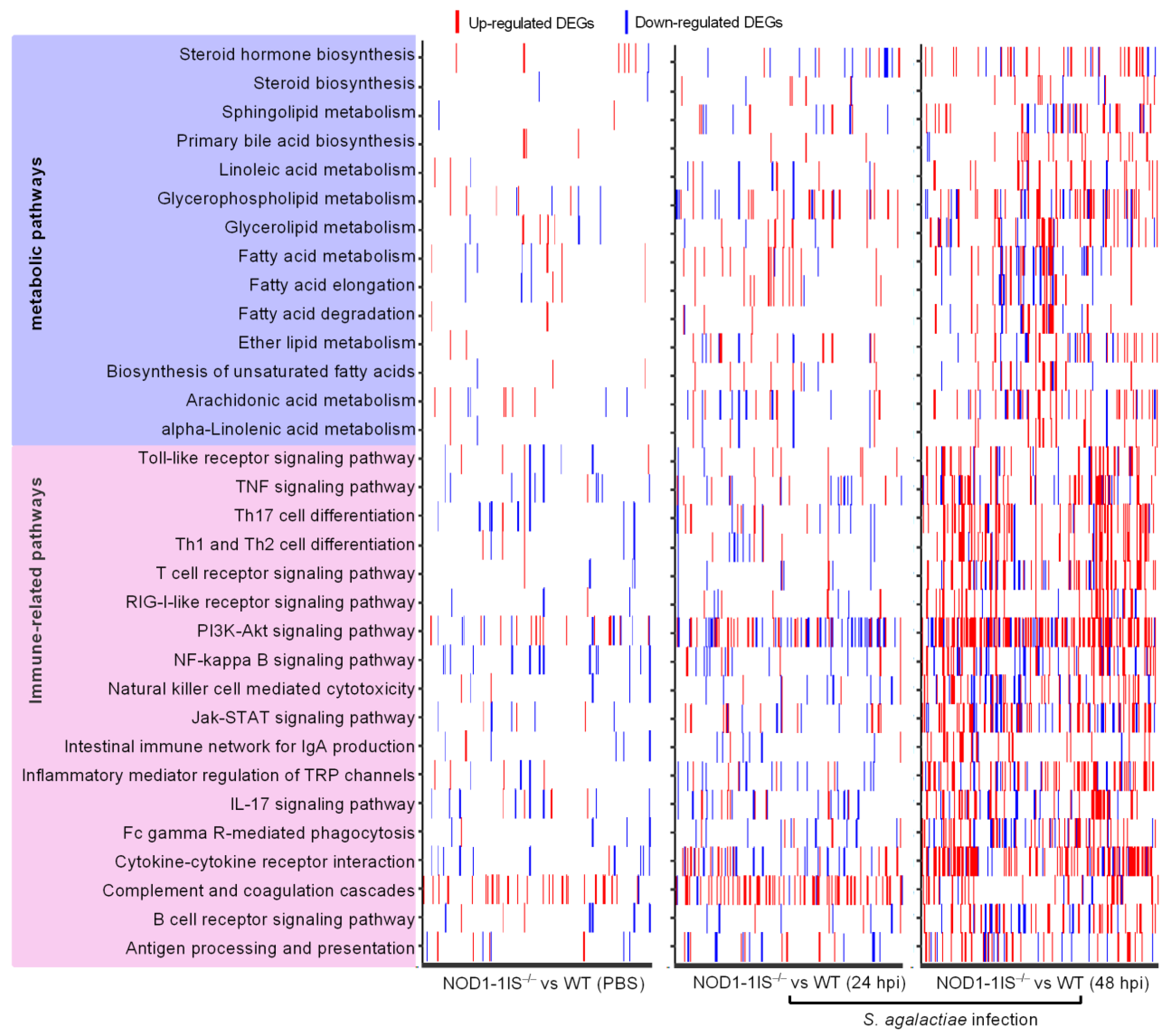 Antibiotics 10 00861 g002