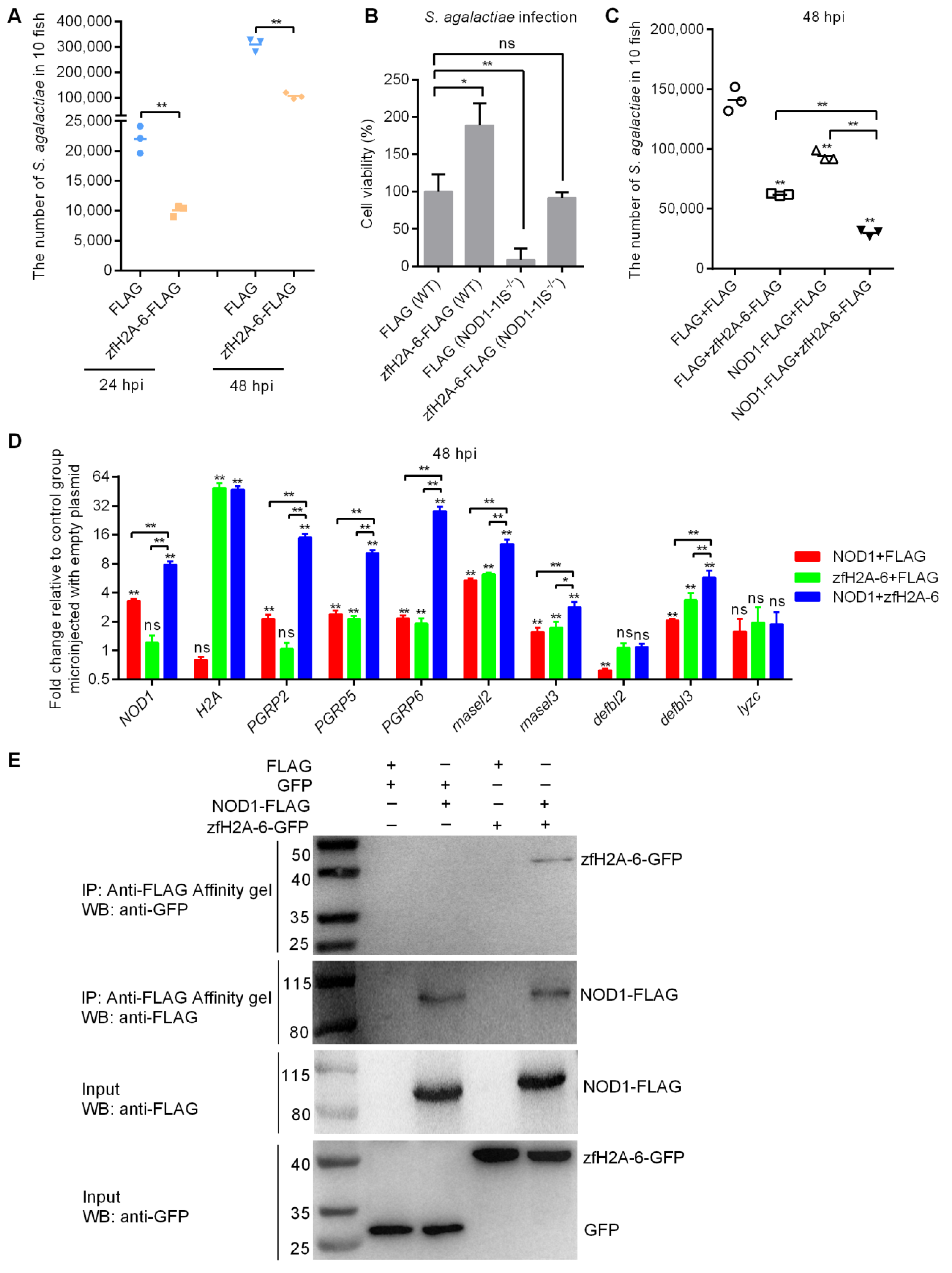 Antibiotics 10 00861 g008