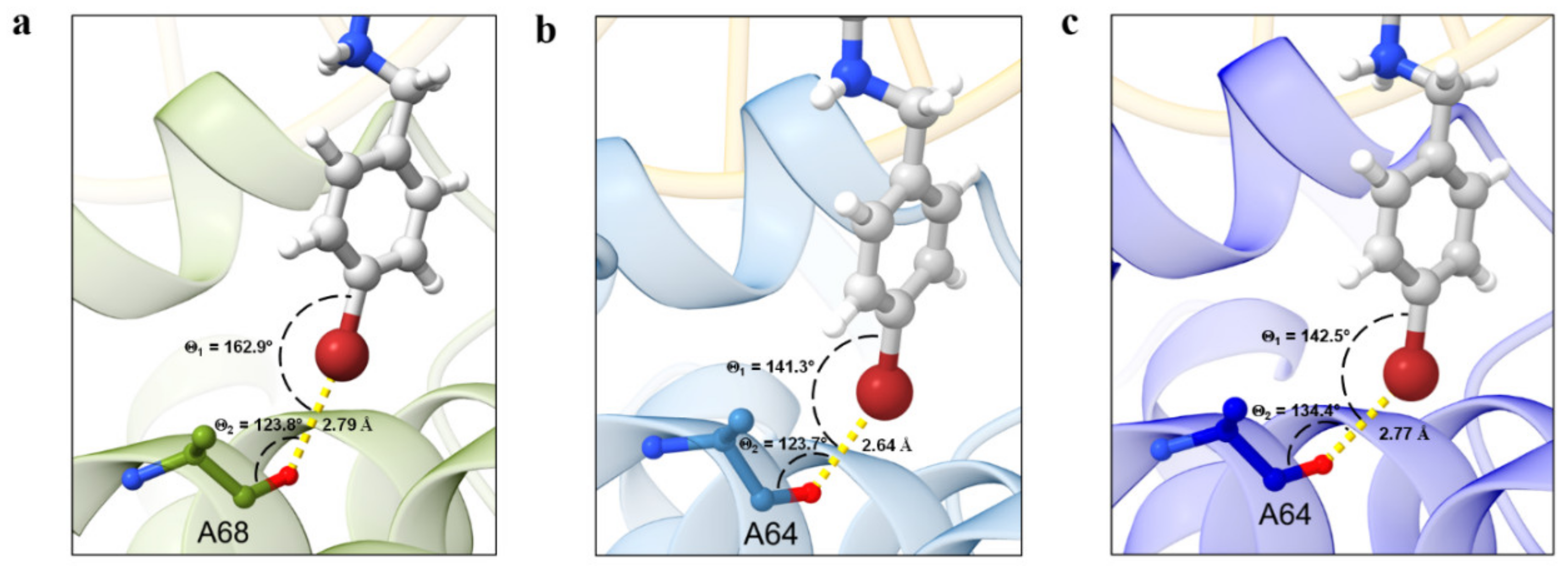 Antibiotics 10 00862 g003