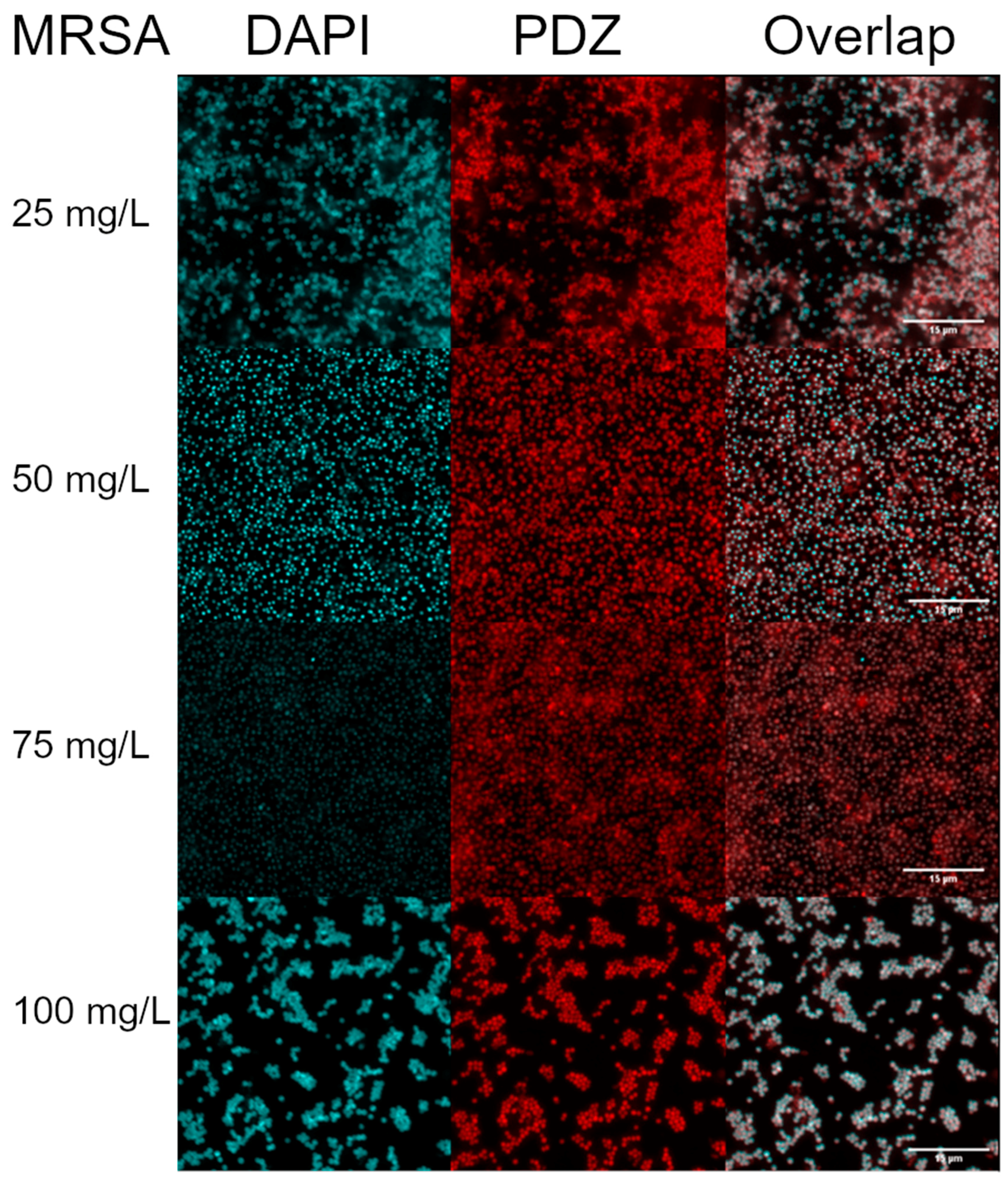 Antibiotics 10 00869 g002 Antibiotics 10 00869 g002