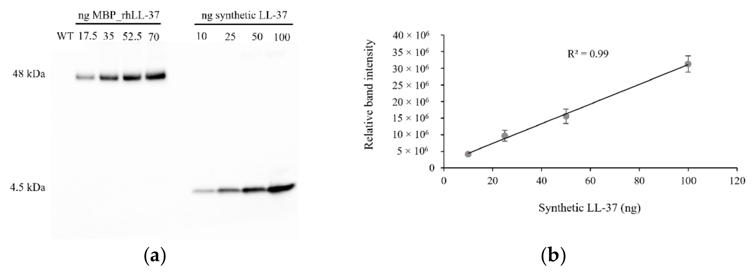 Antibiotics 10 00898 g003