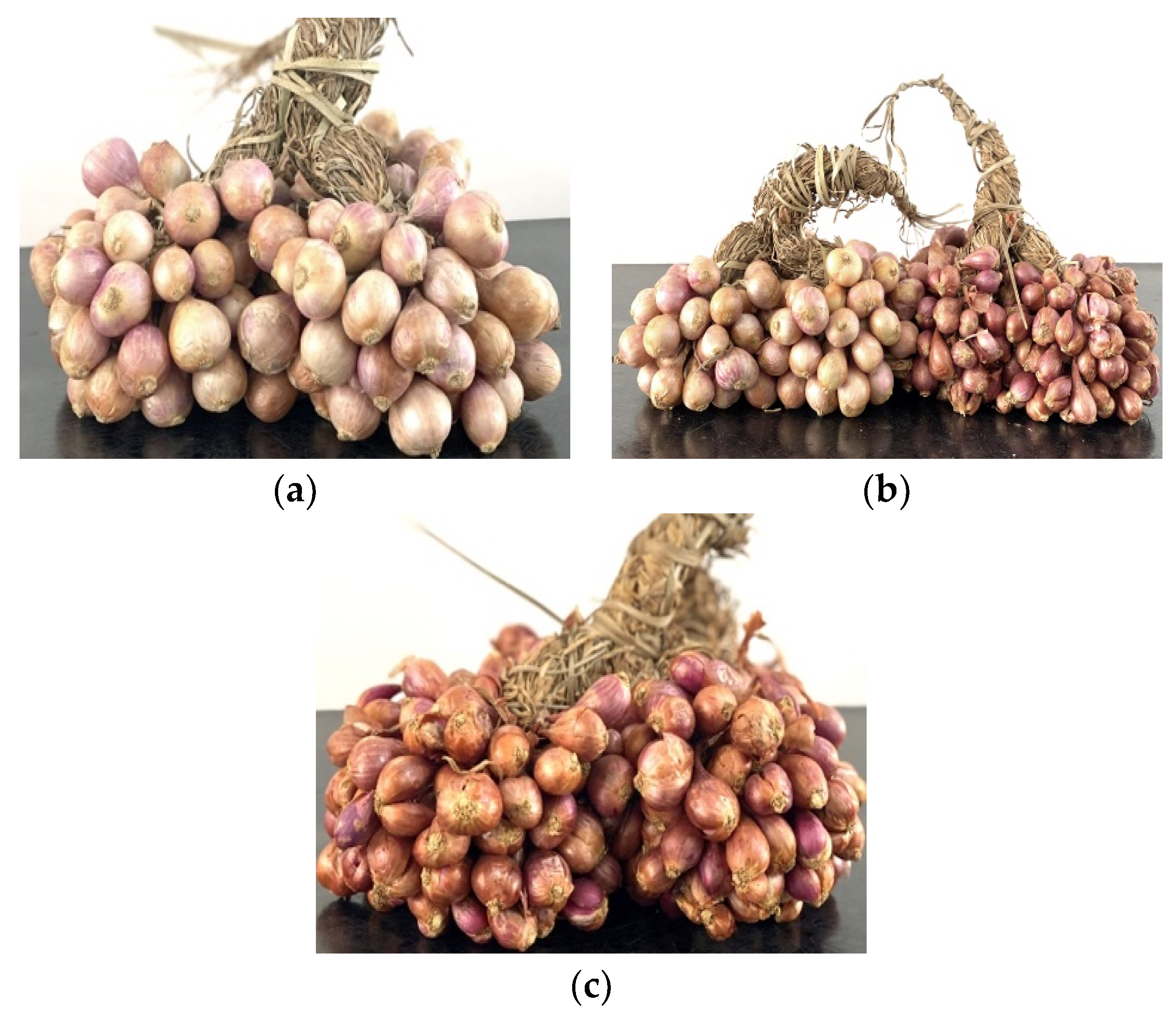 Antibiotics 10 00902 g001