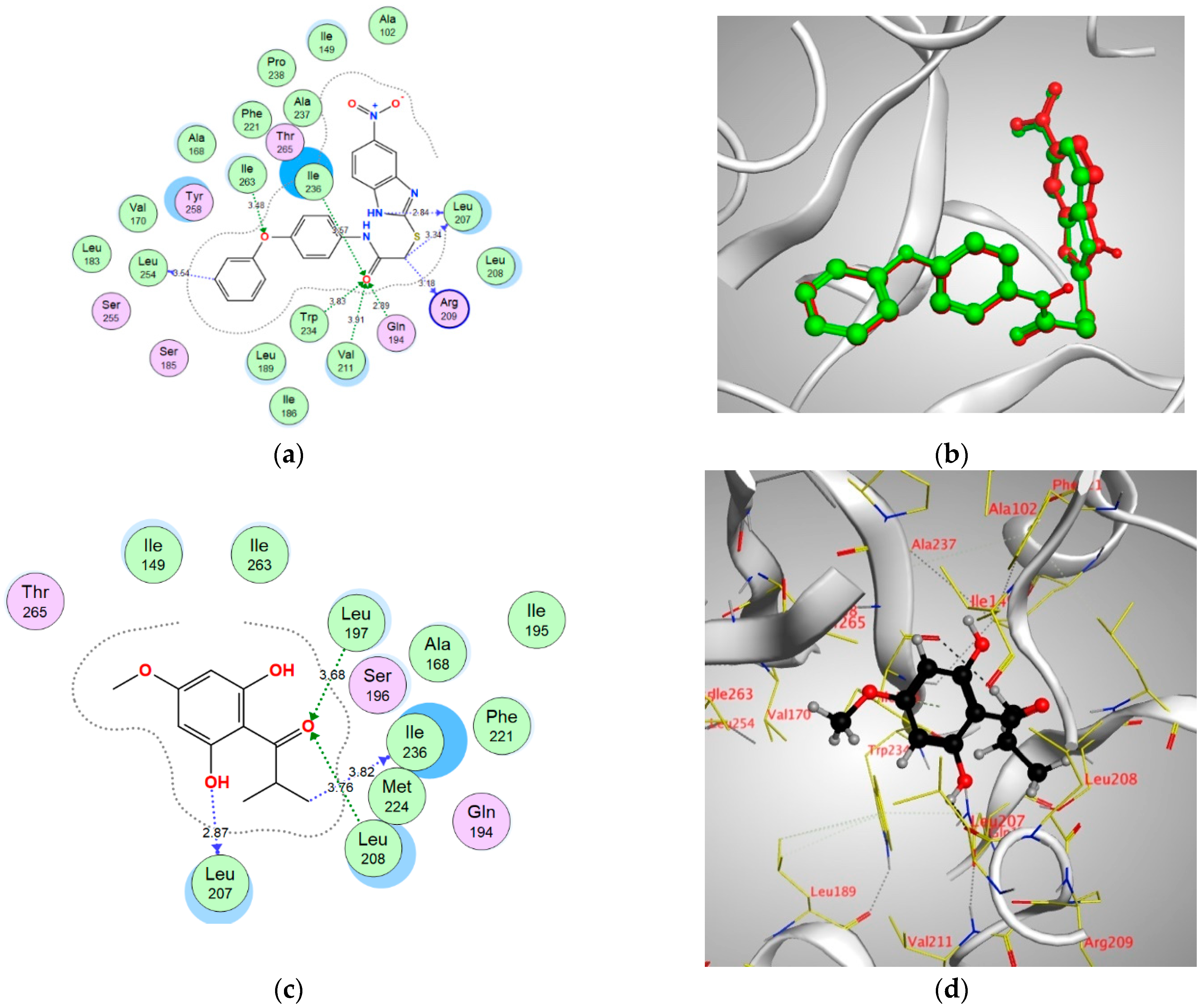 Antibiotics 10 00907 g006