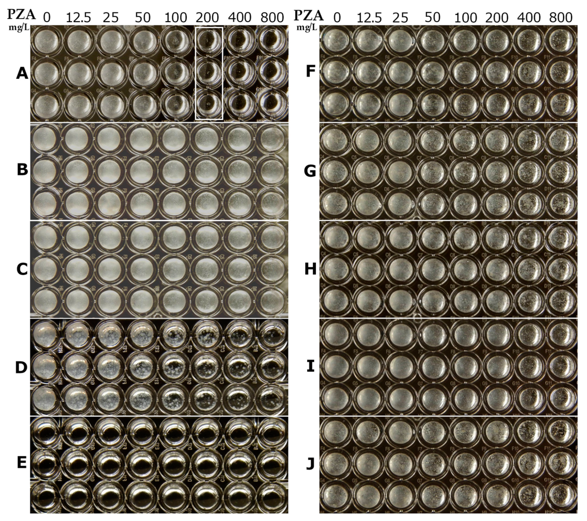 Antibiotics 10 00909 g002