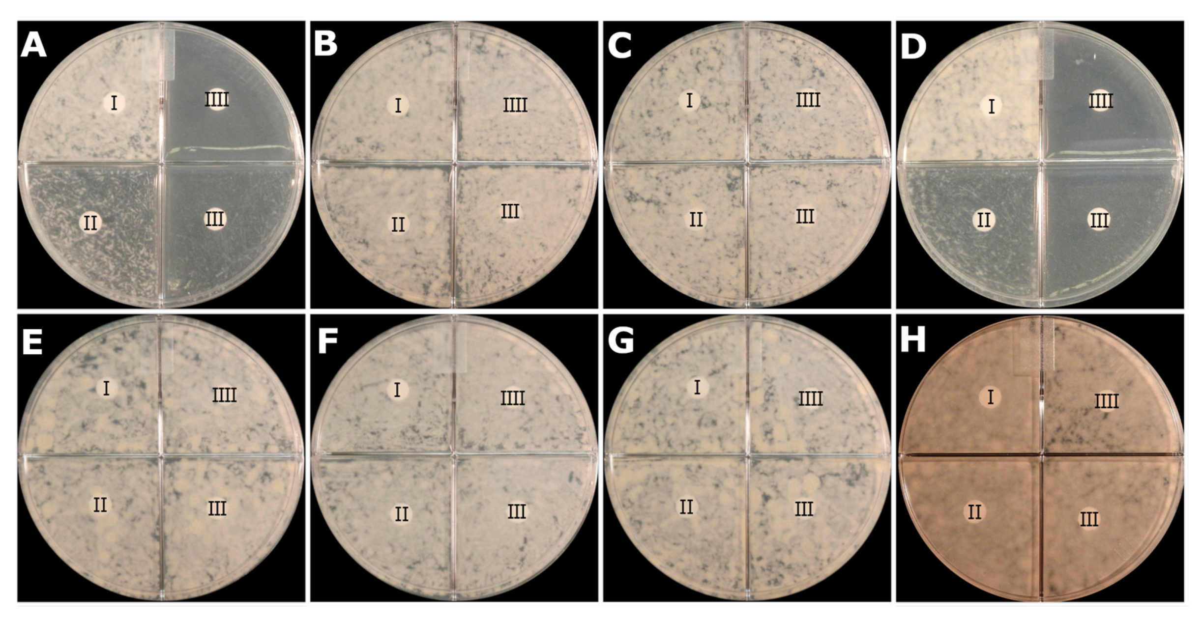 Antibiotics 10 00909 g004