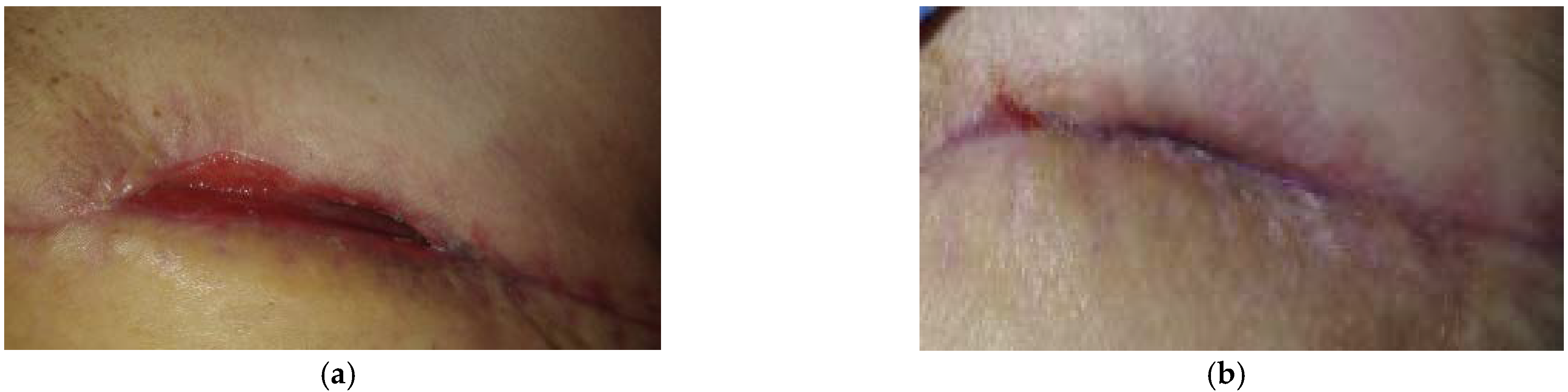 Antibiotics 10 00918 g001