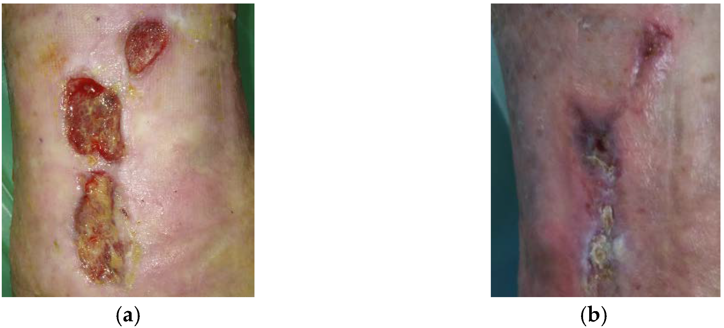 Antibiotics 10 00918 g003