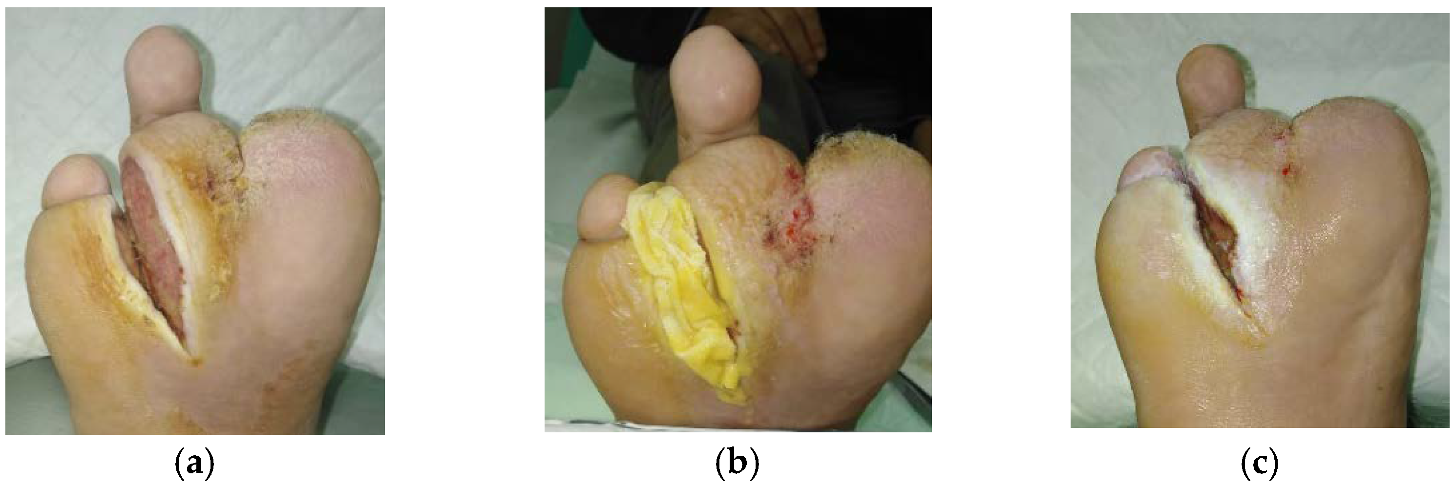 Antibiotics 10 00918 g005