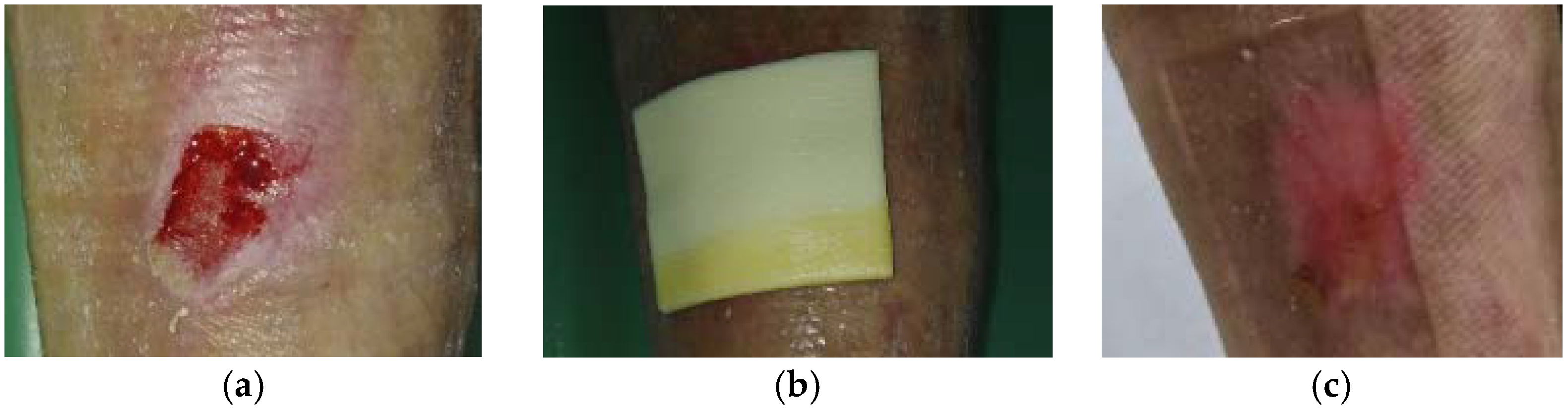 Antibiotics 10 00918 g009