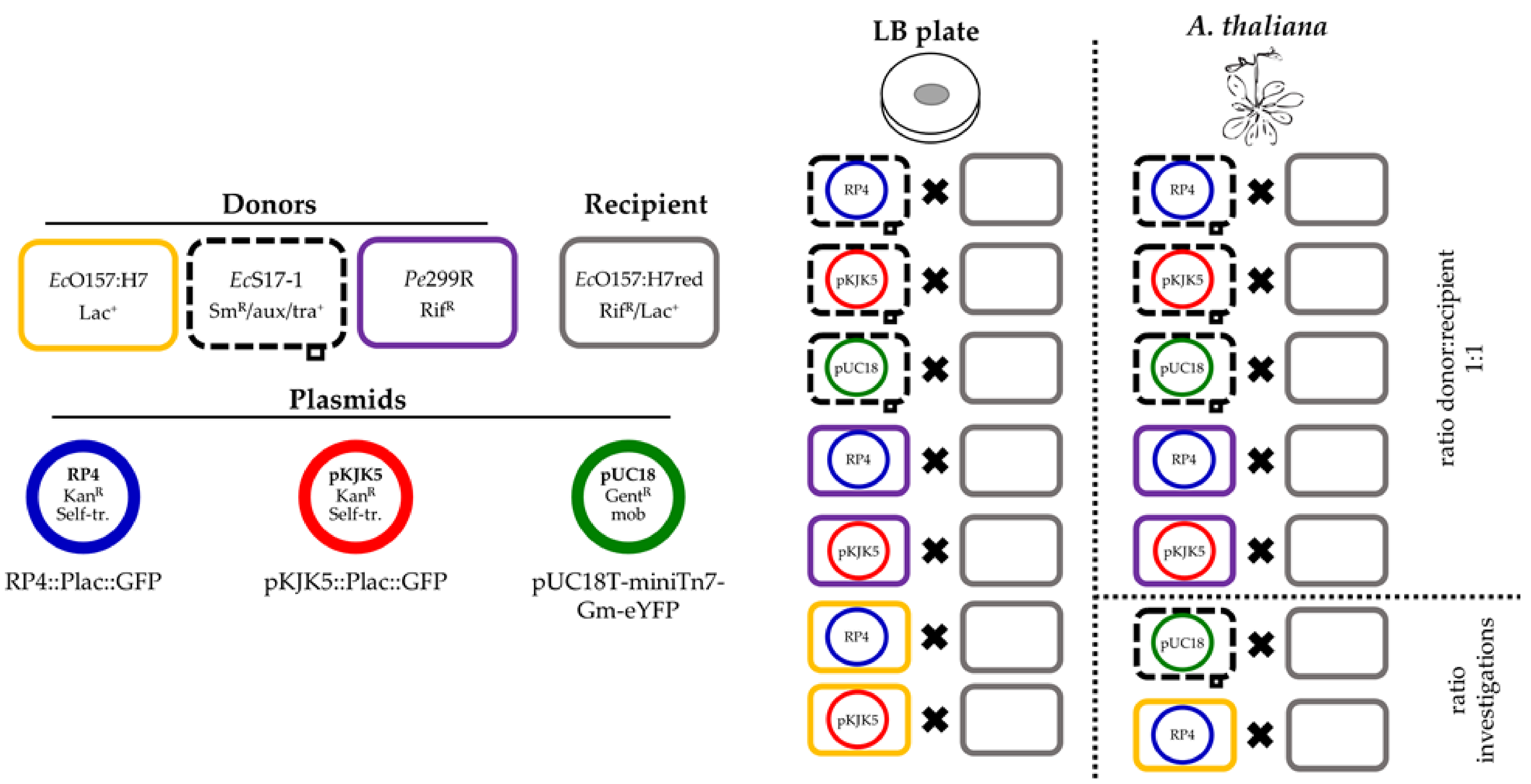 Antibiotics 10 00928 g001 Antibiotics 10 00928 g001