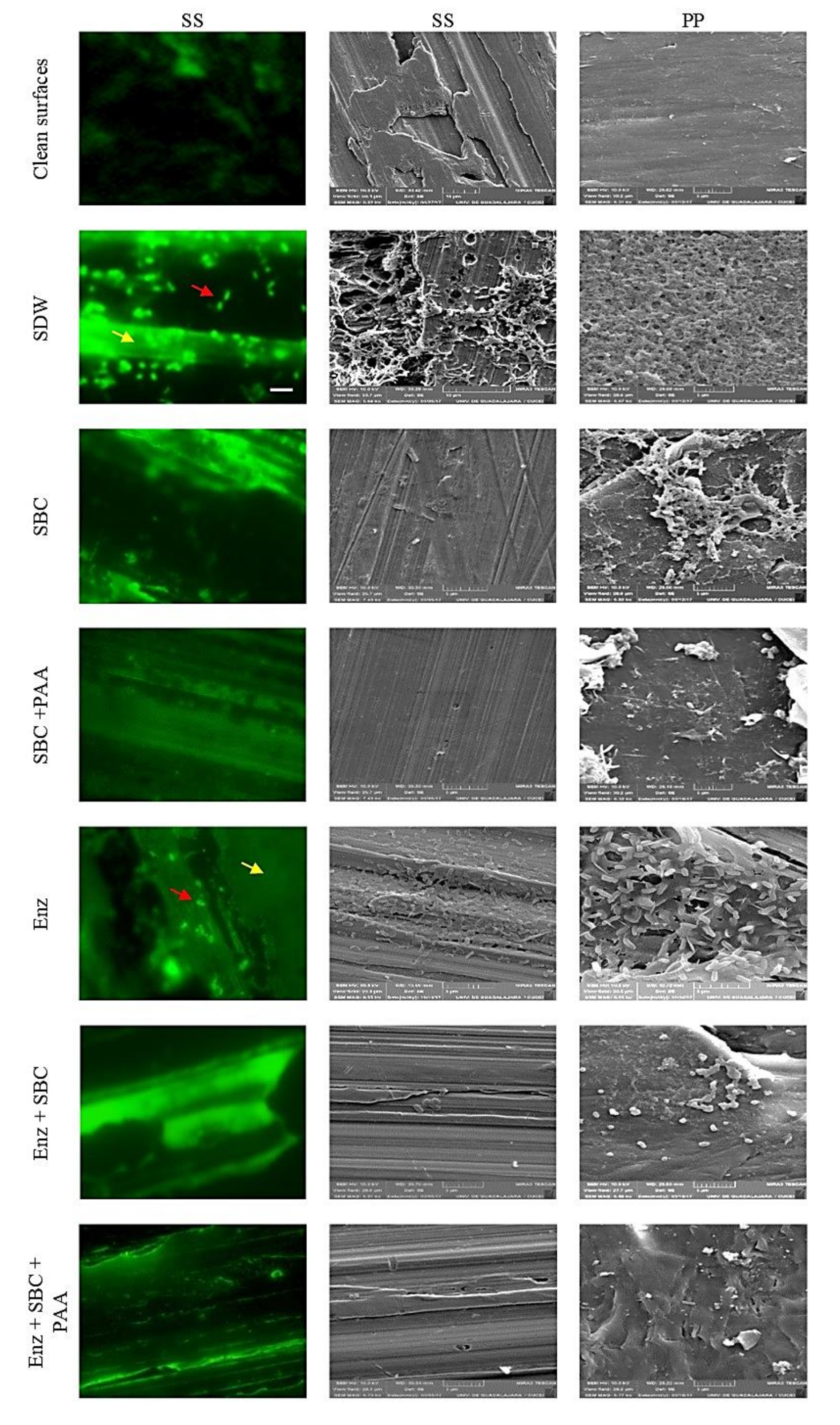 Antibiotics 10 00931 g005