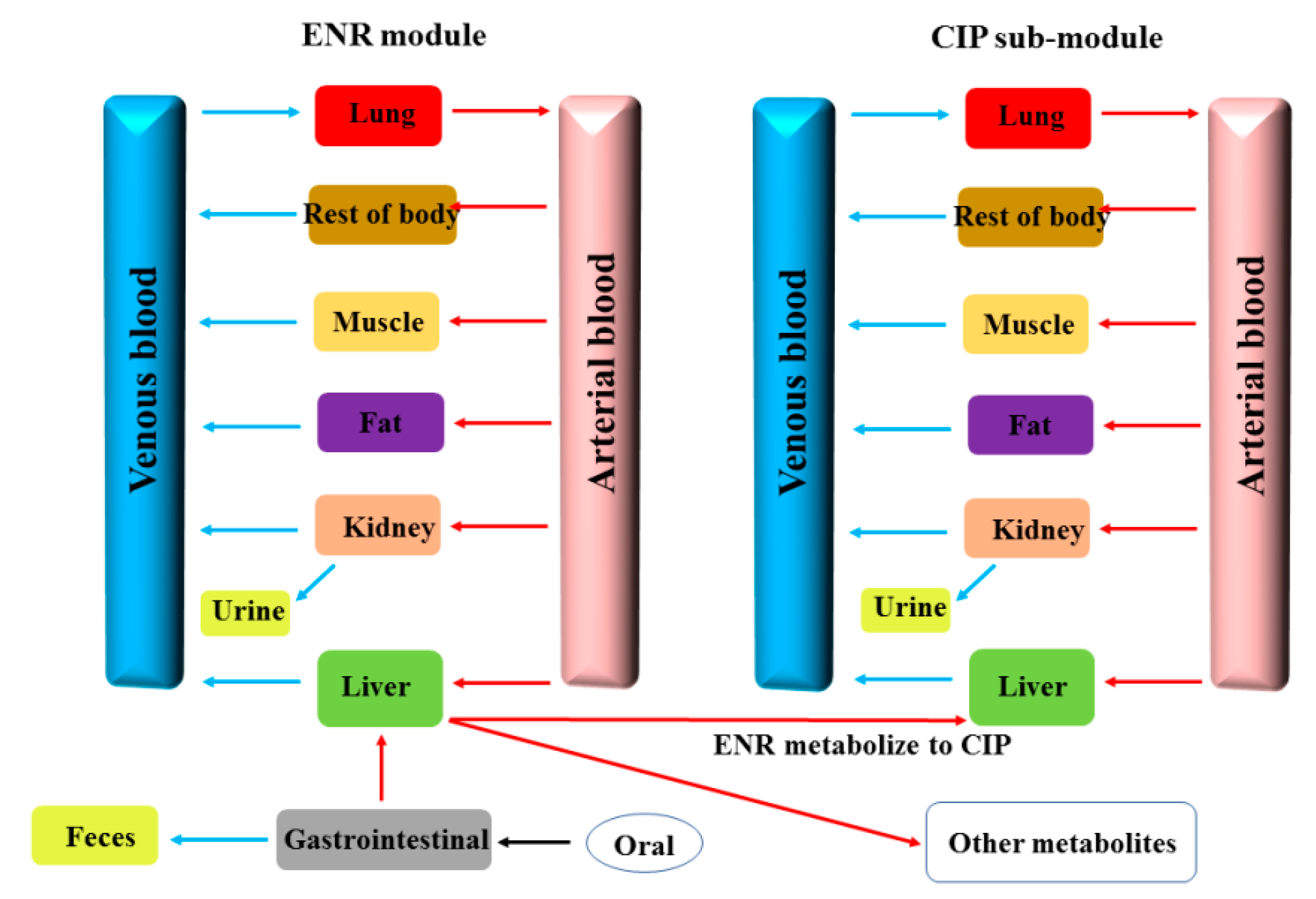 Antibiotics 10 00955 g006