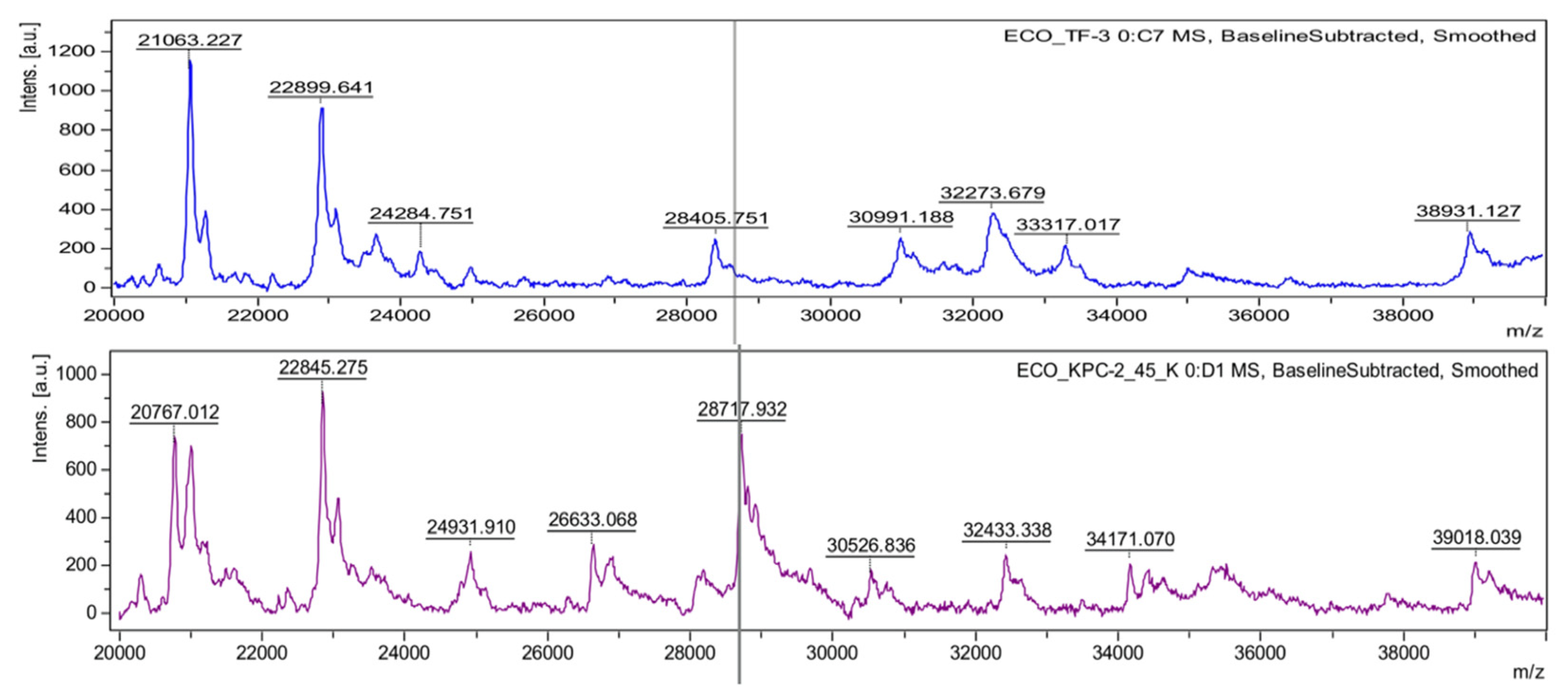 Antibiotics 10 00982 g003