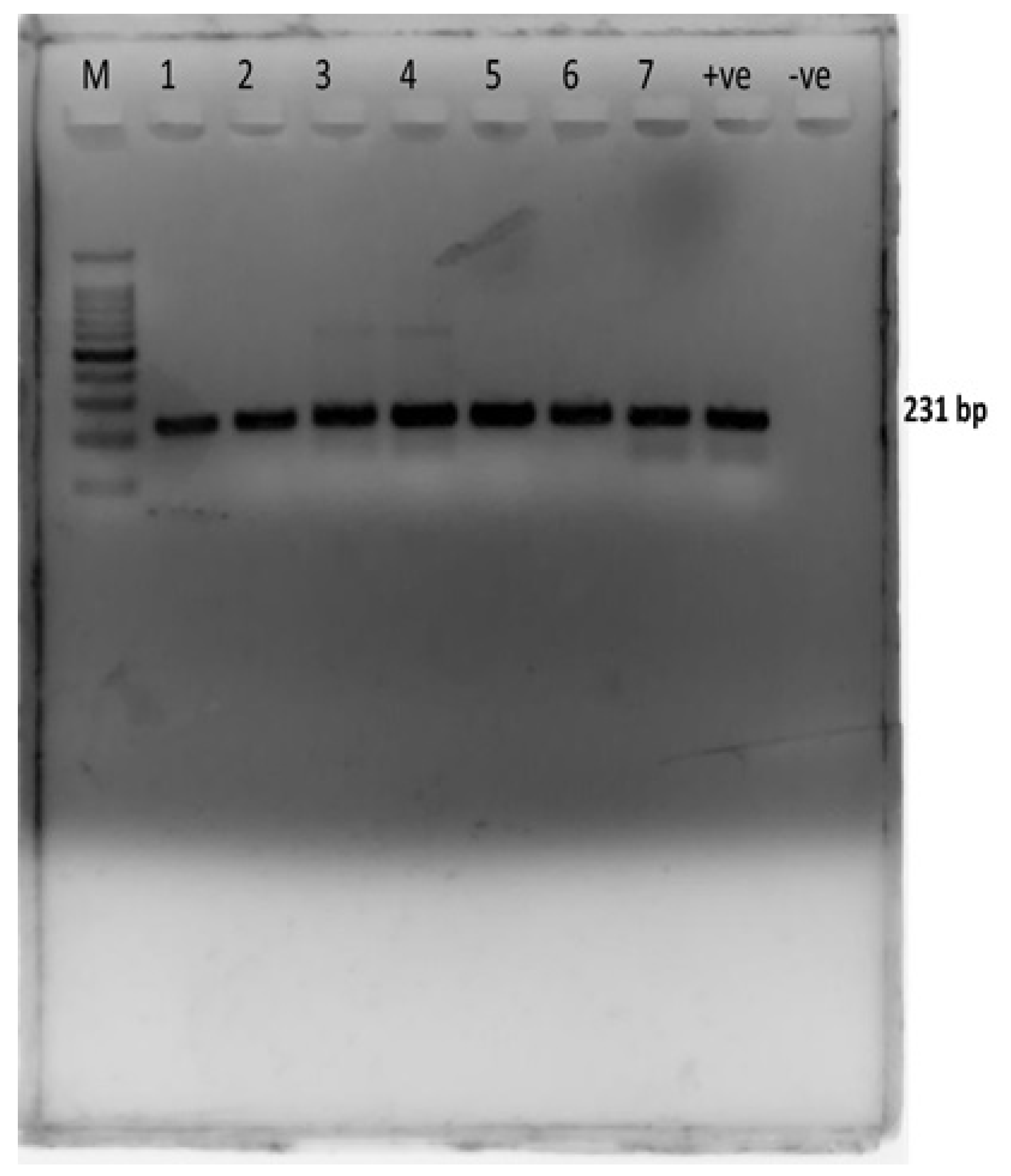 Antibiotics 10 00997 g003 Antibiotics 10 00997 g003