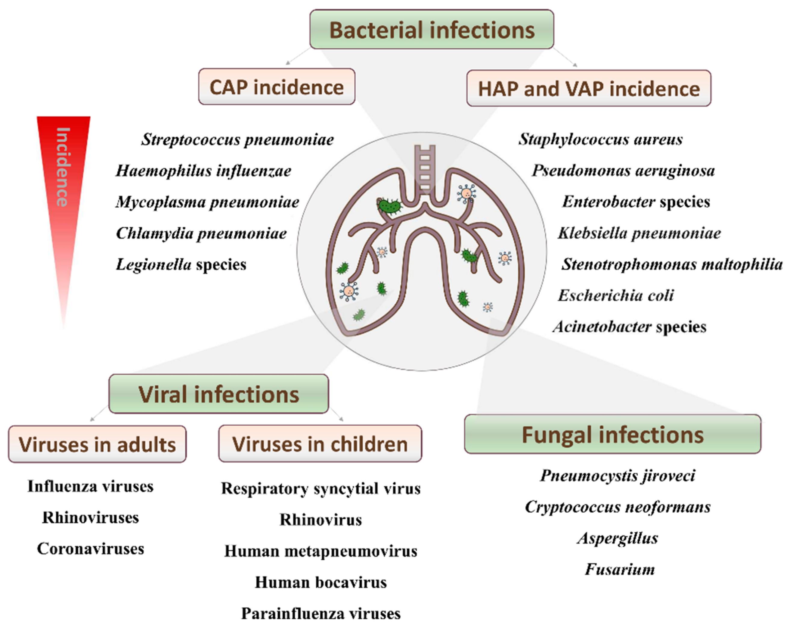 Antibiotics 10 01000 g001 Antibiotics 10 01000 g001