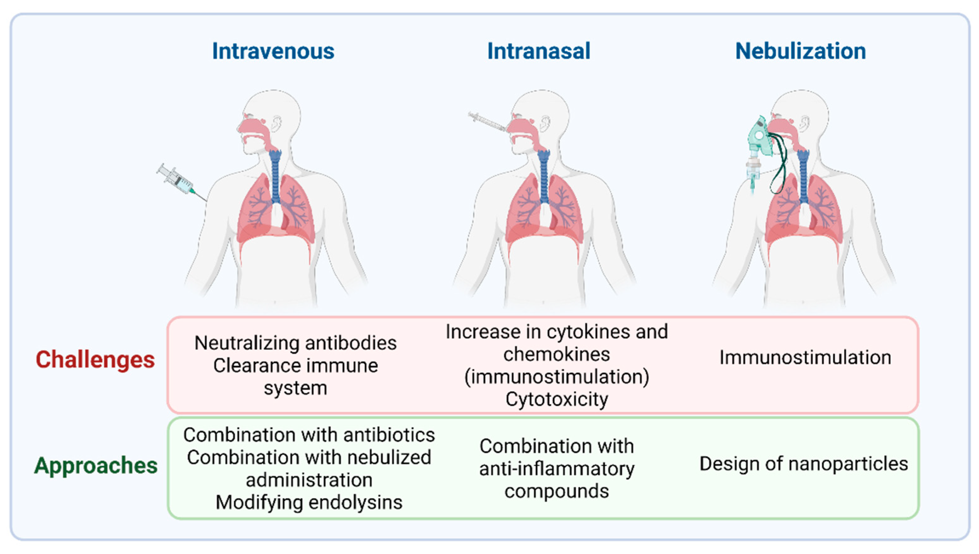 Antibiotics 10 01000 g002 Antibiotics 10 01000 g002