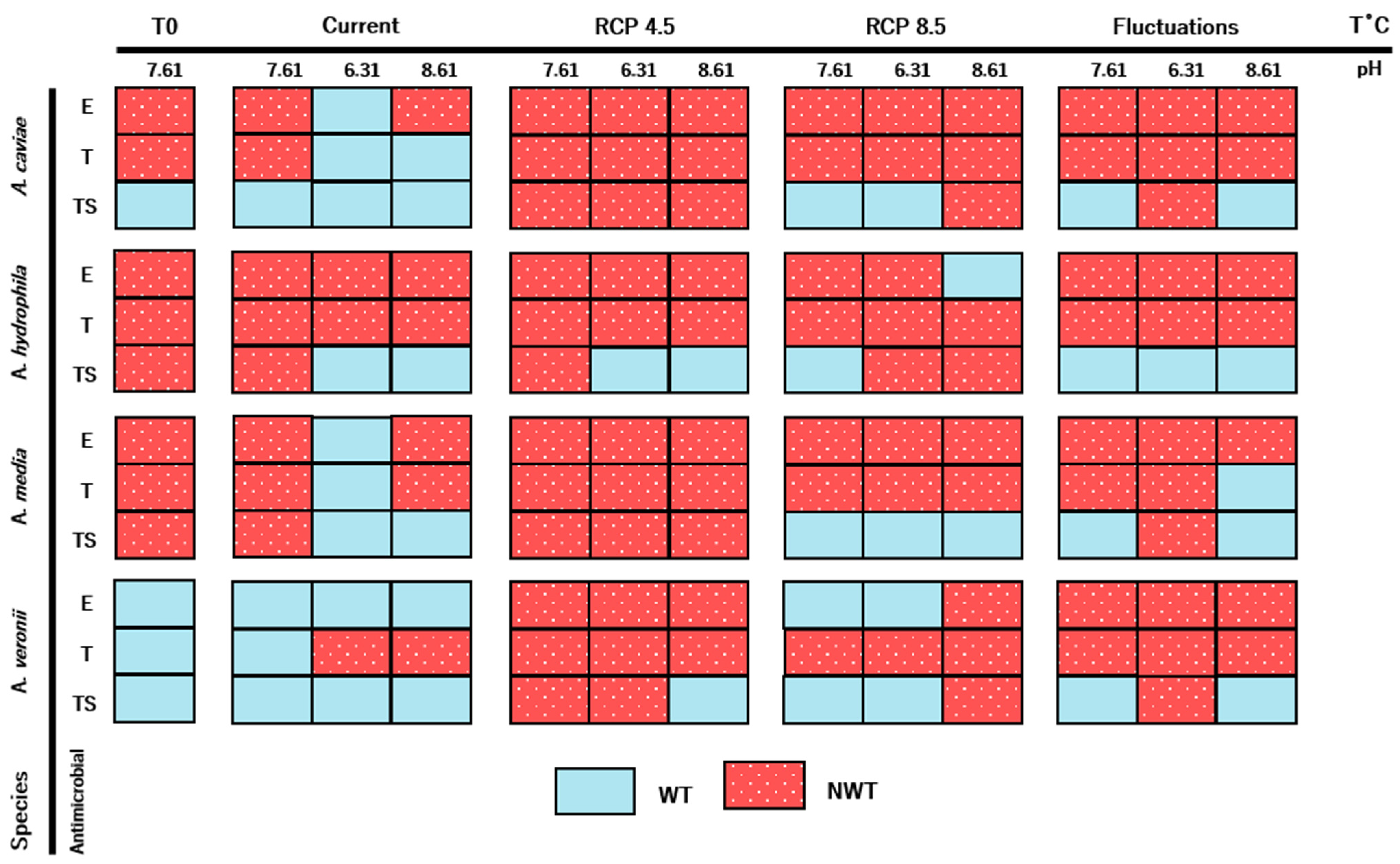 Antibiotics 10 01008 g005
