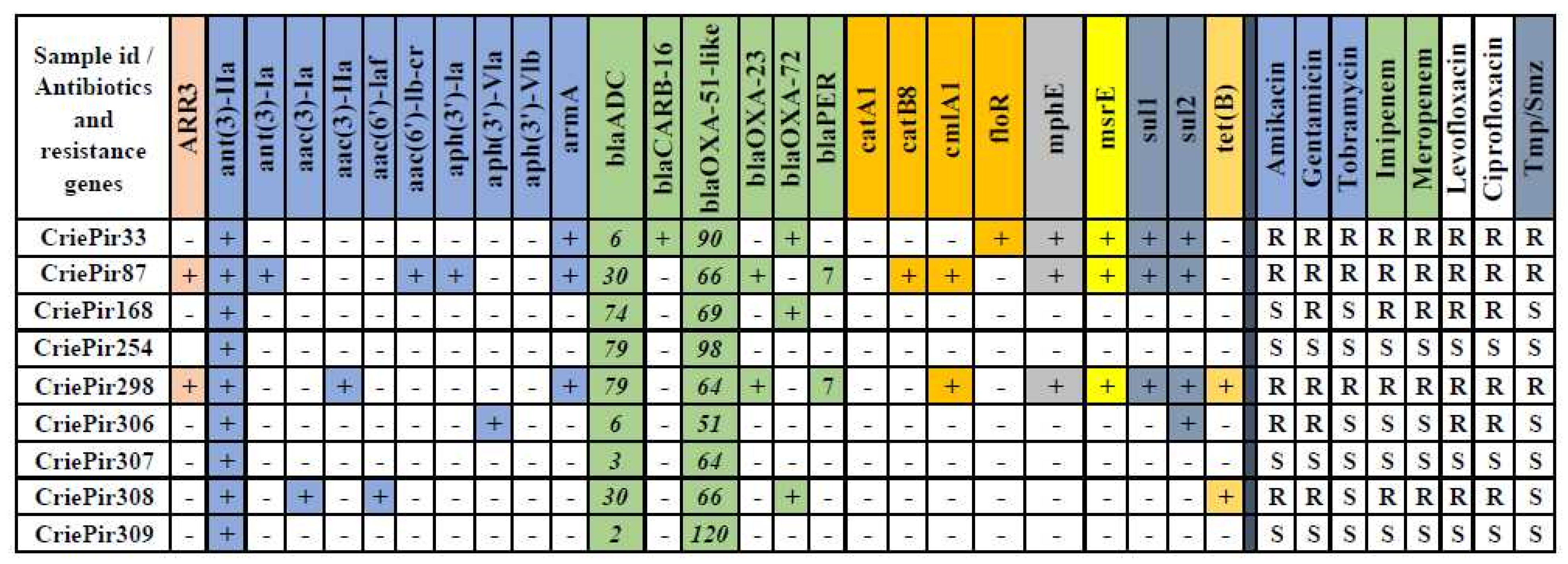 Antibiotics 10 01009 g002