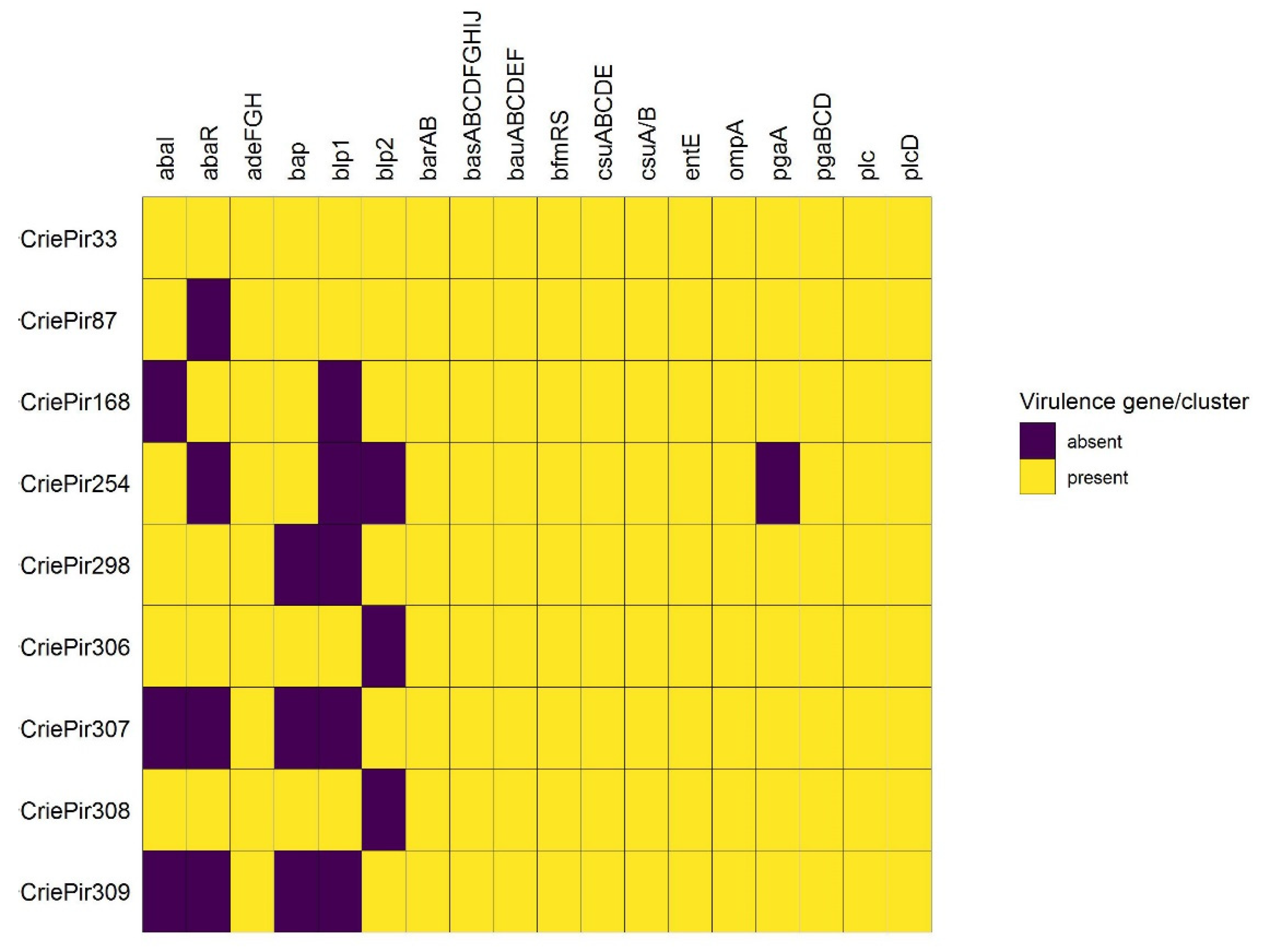 Antibiotics 10 01009 g003
