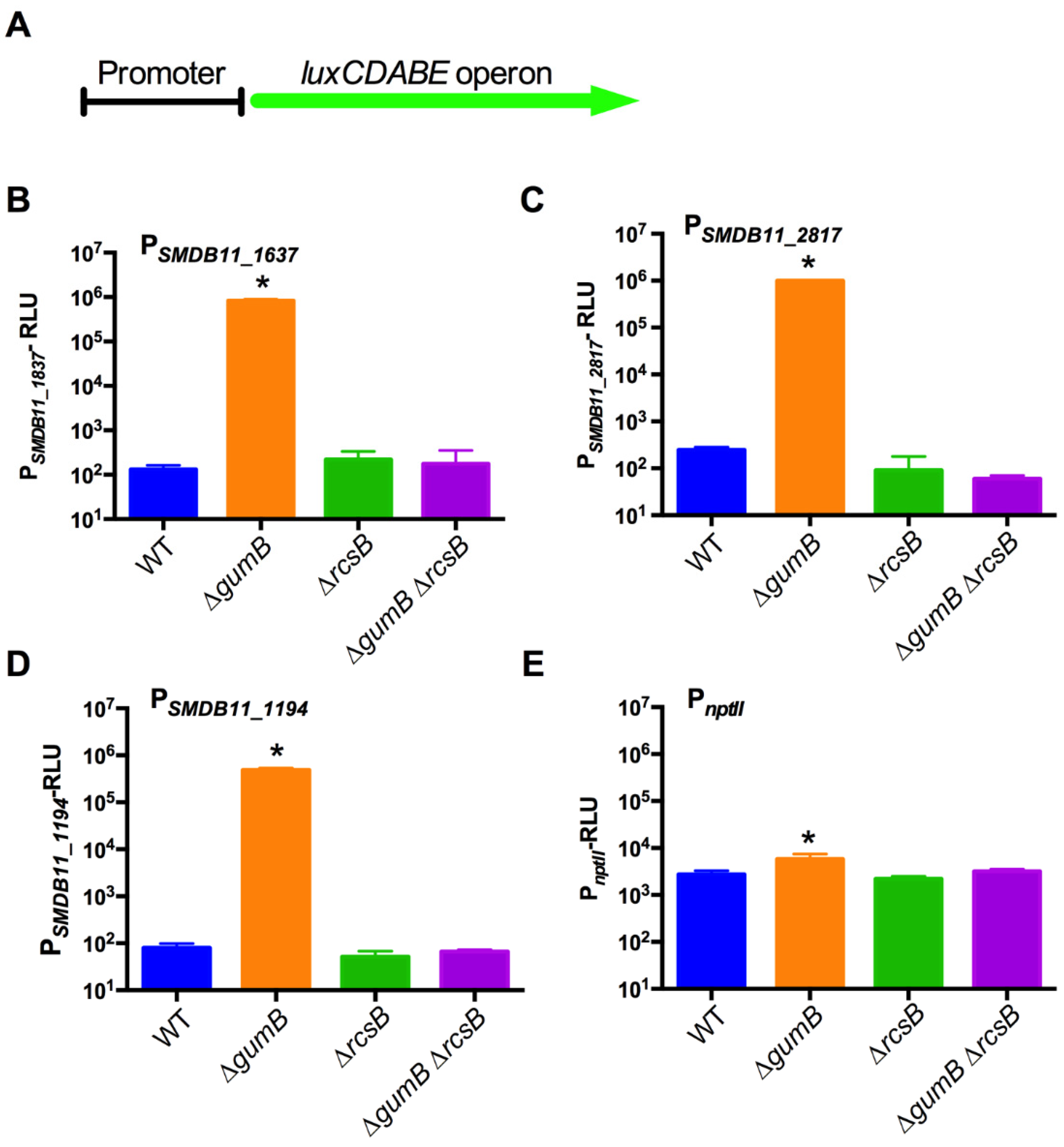 Antibiotics 10 01033 g002