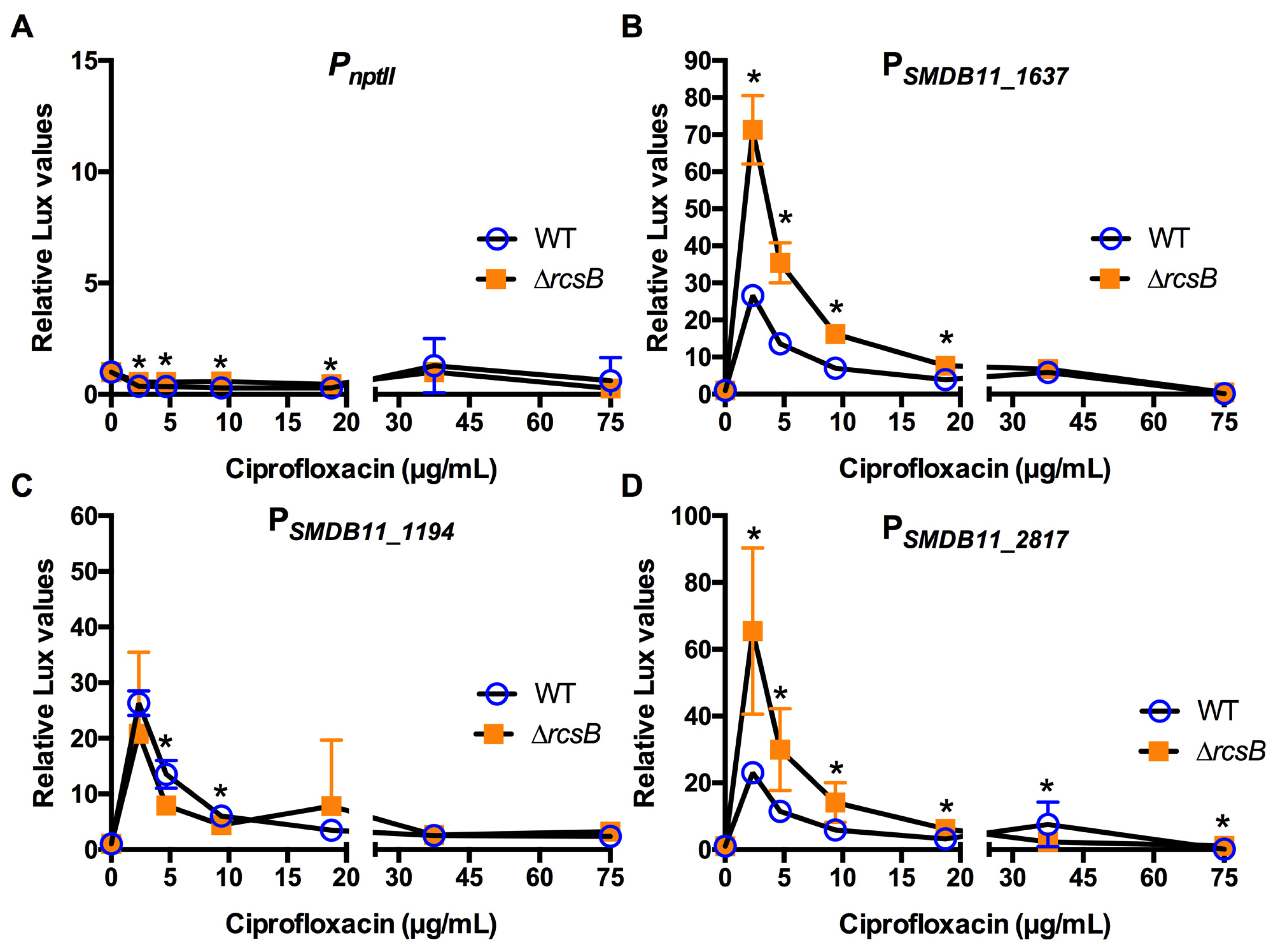 Antibiotics 10 01033 g007