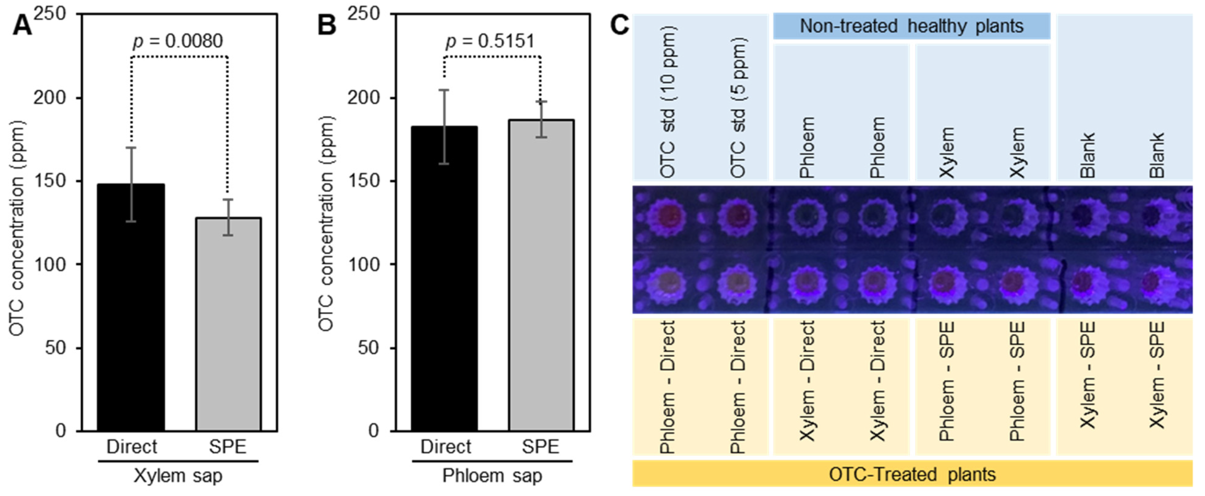 Antibiotics 10 01036 g006