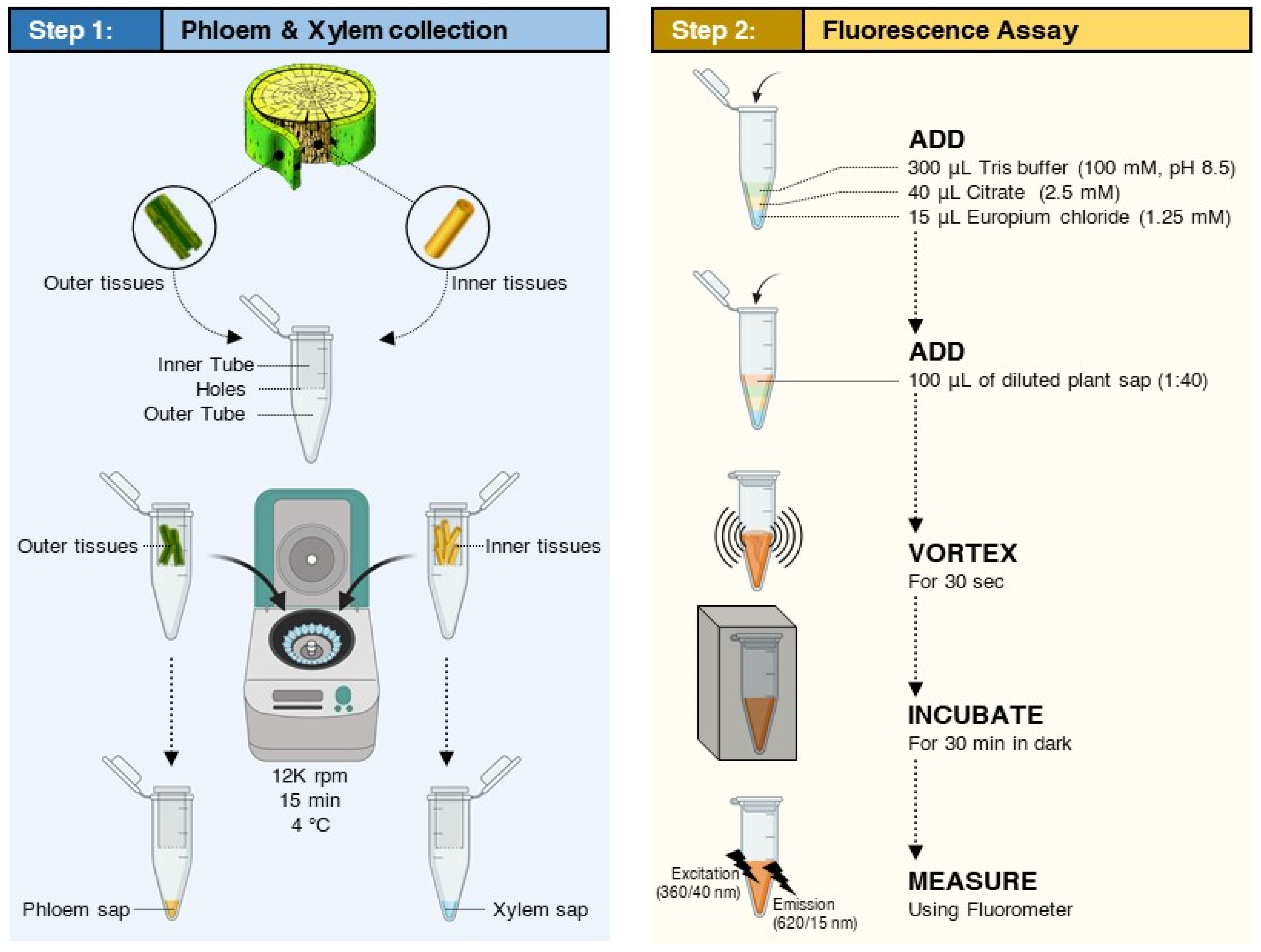 Antibiotics 10 01036 g007