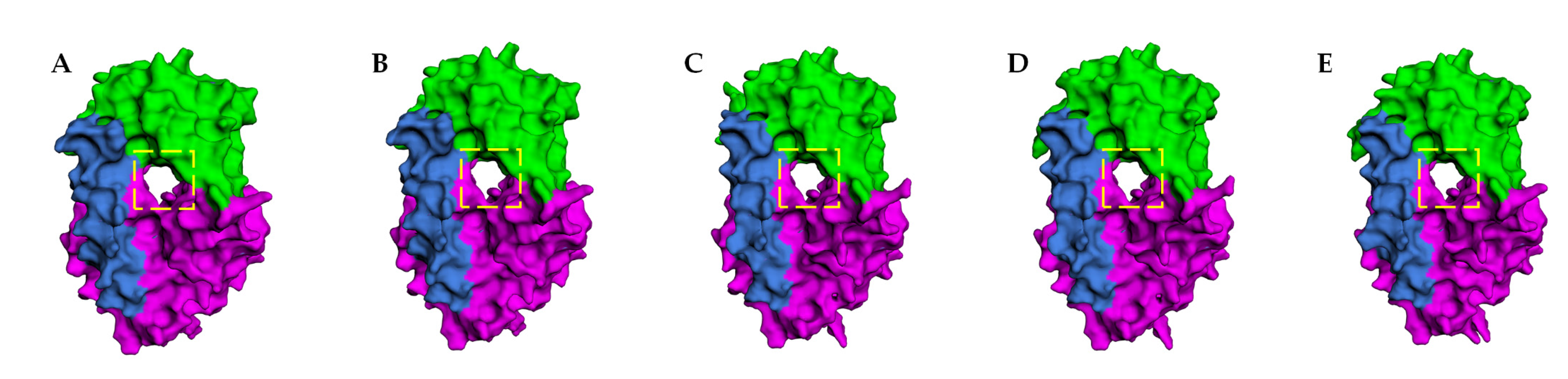 Antibiotics 10 01051 g003