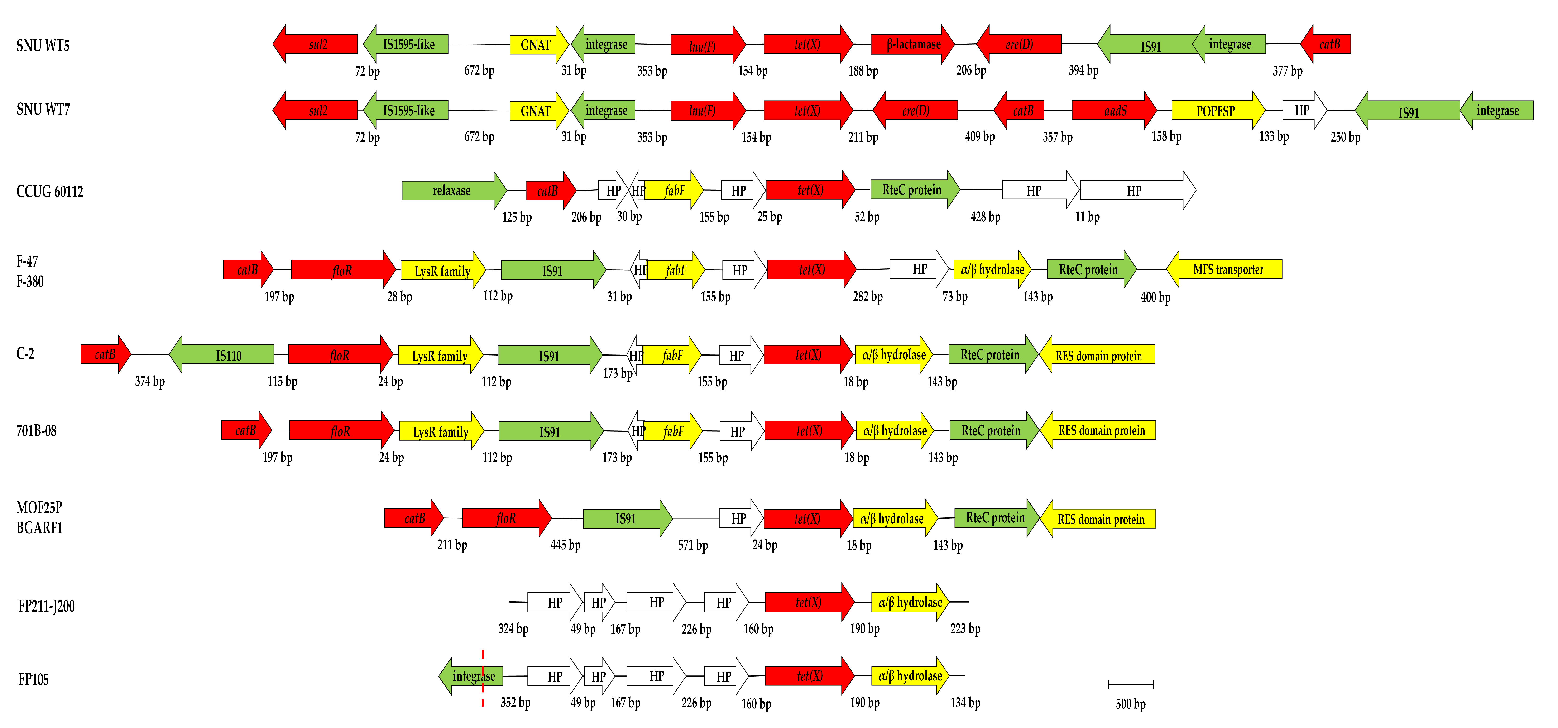 Antibiotics 10 01051 g004