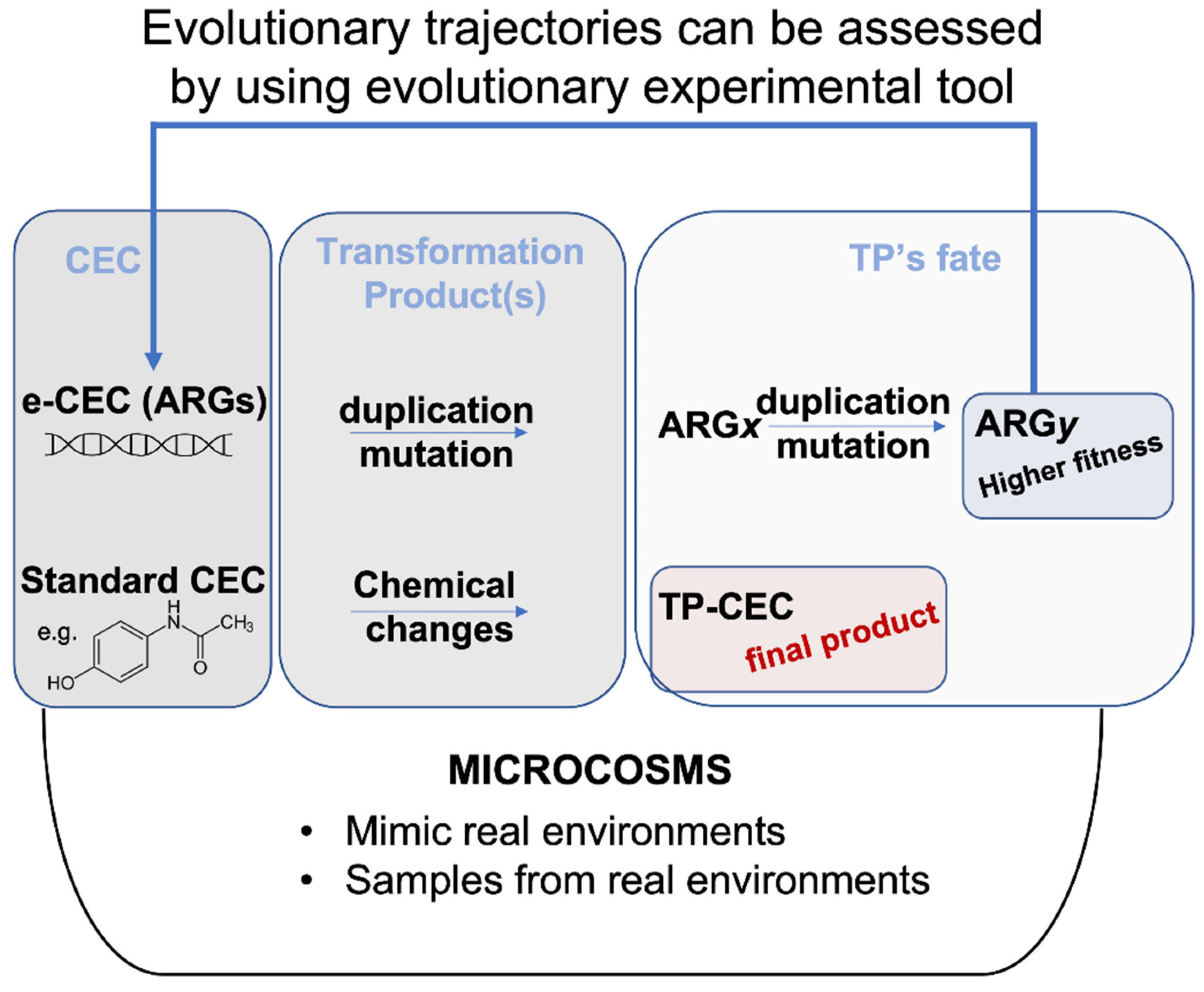 Antibiotics 10 01066 g001