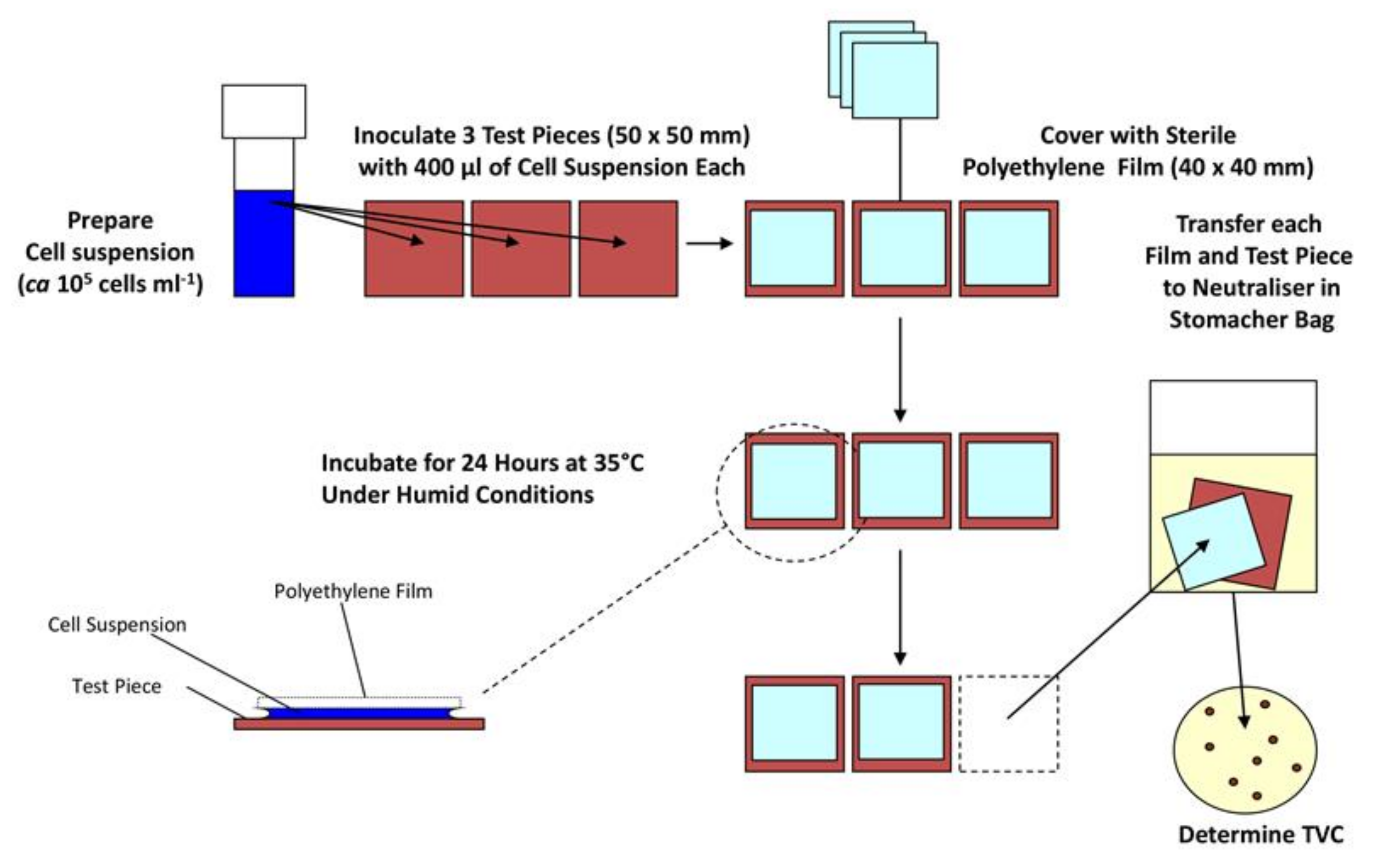 Antibiotics 10 01069 g001