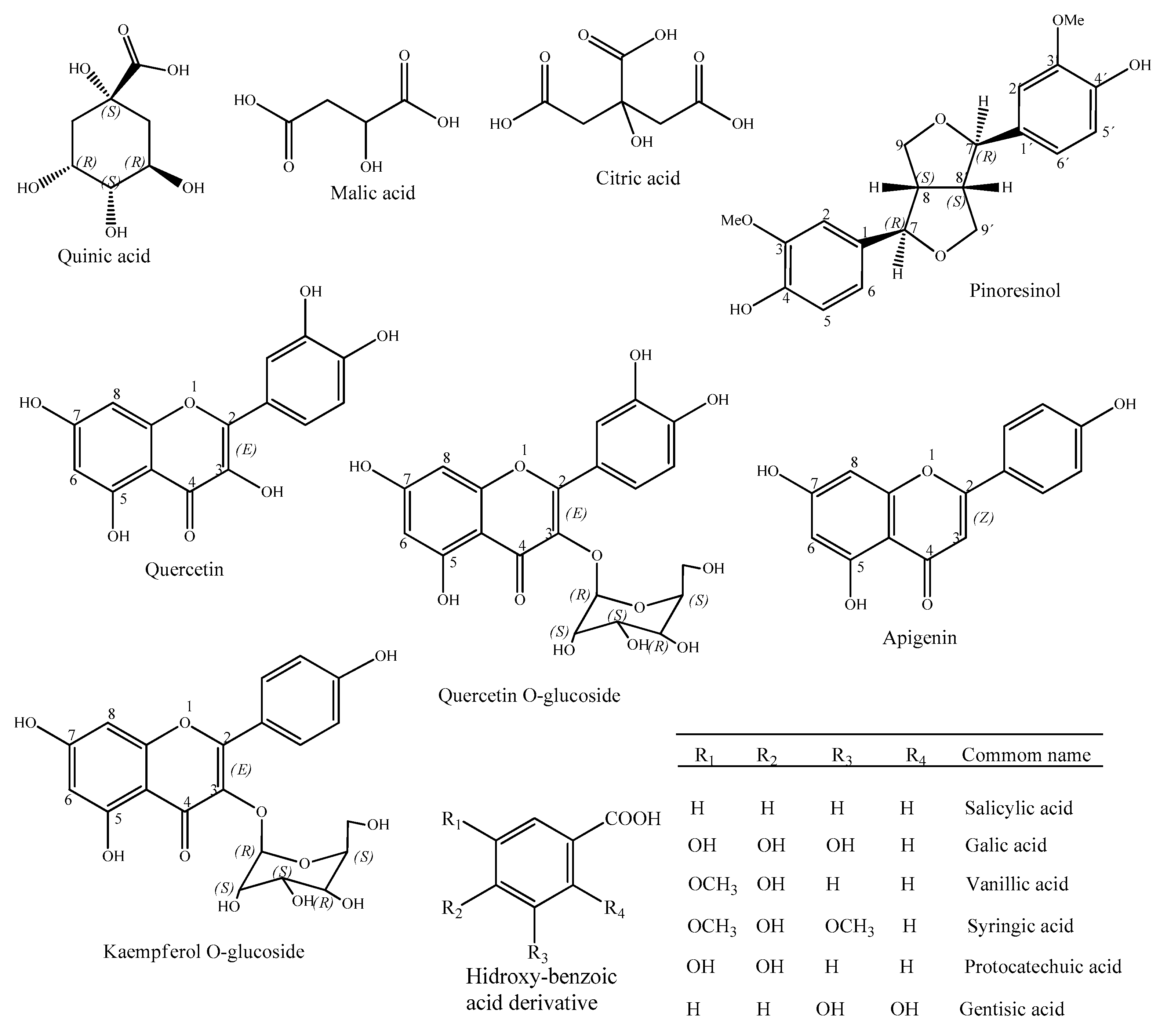 Antibiotics 10 01074 g002