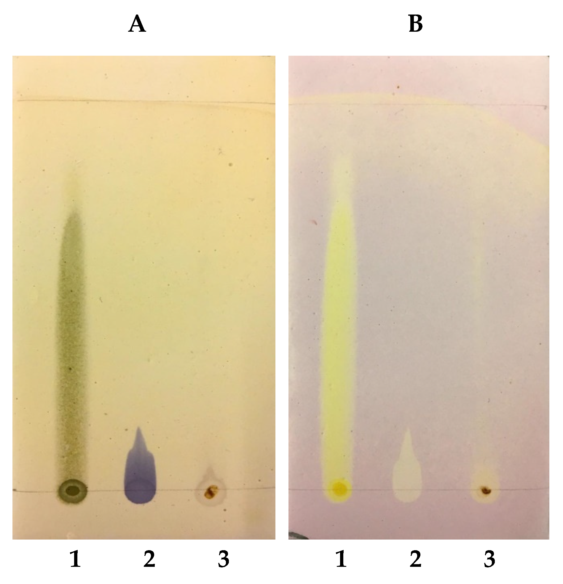 Antibiotics 10 01074 g003