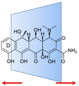 Antibiotics 10 01084 i001