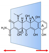 Antibiotics 10 01084 i002