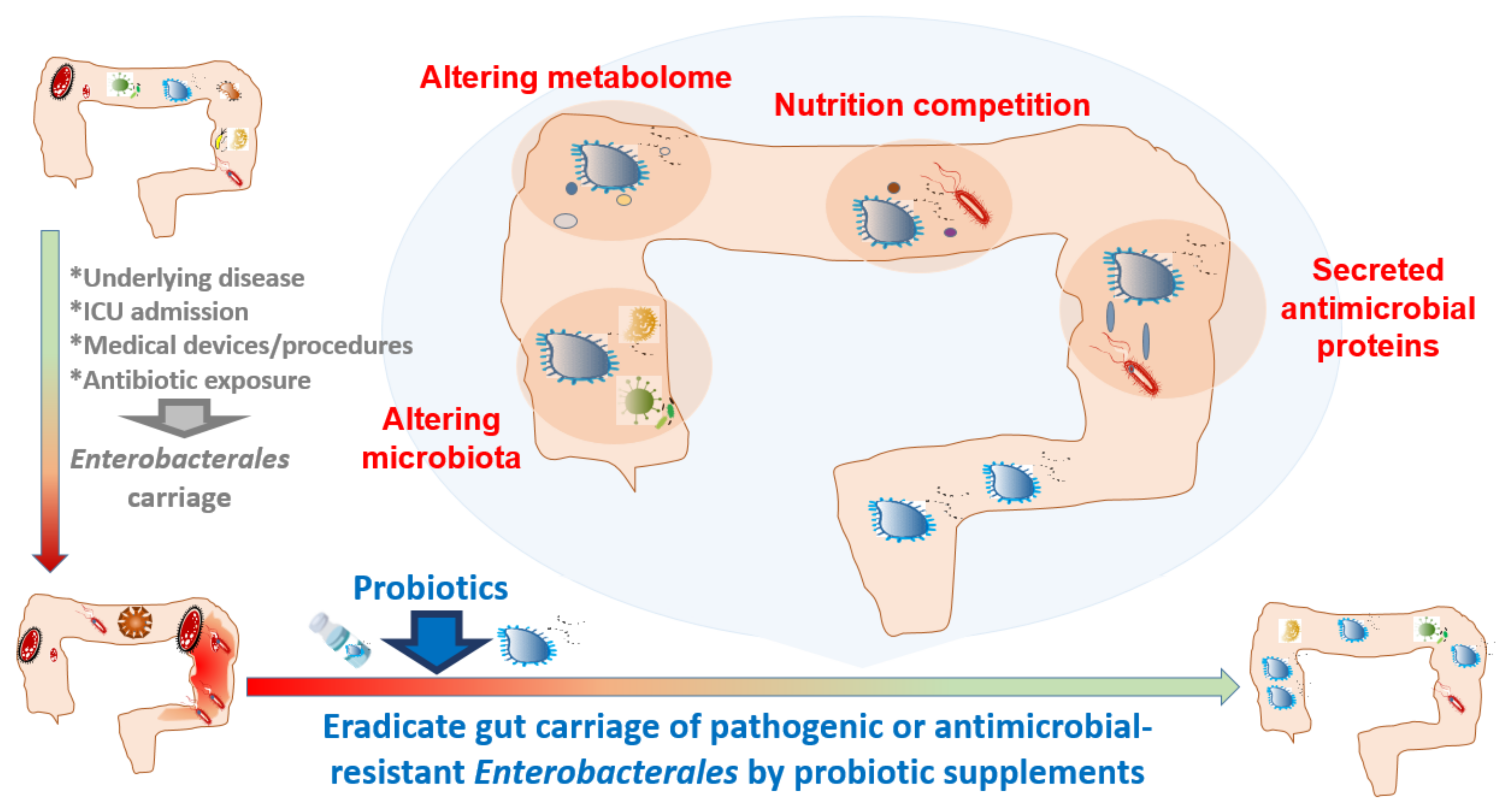 Antibiotics 10 01086 g001