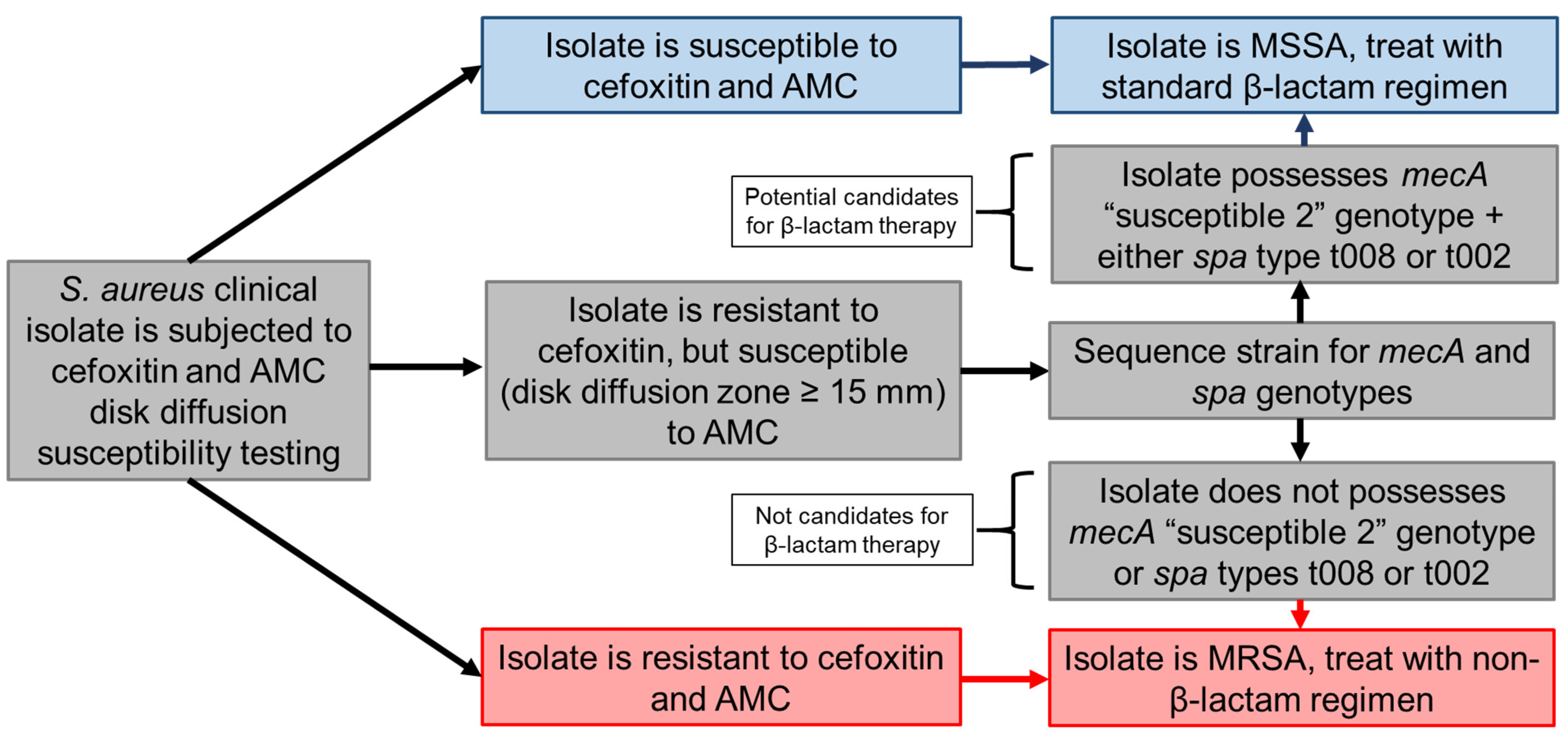 Antibiotics 10 01089 g002