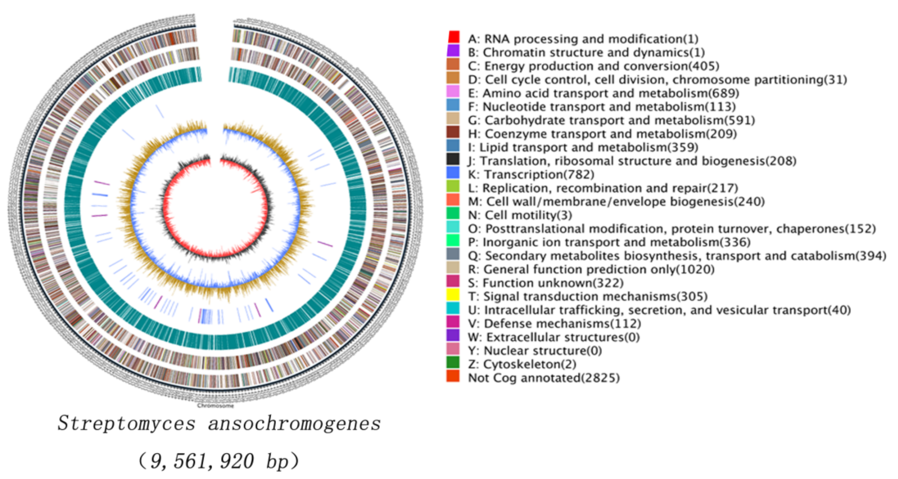 Antibiotics 10 01097 g001