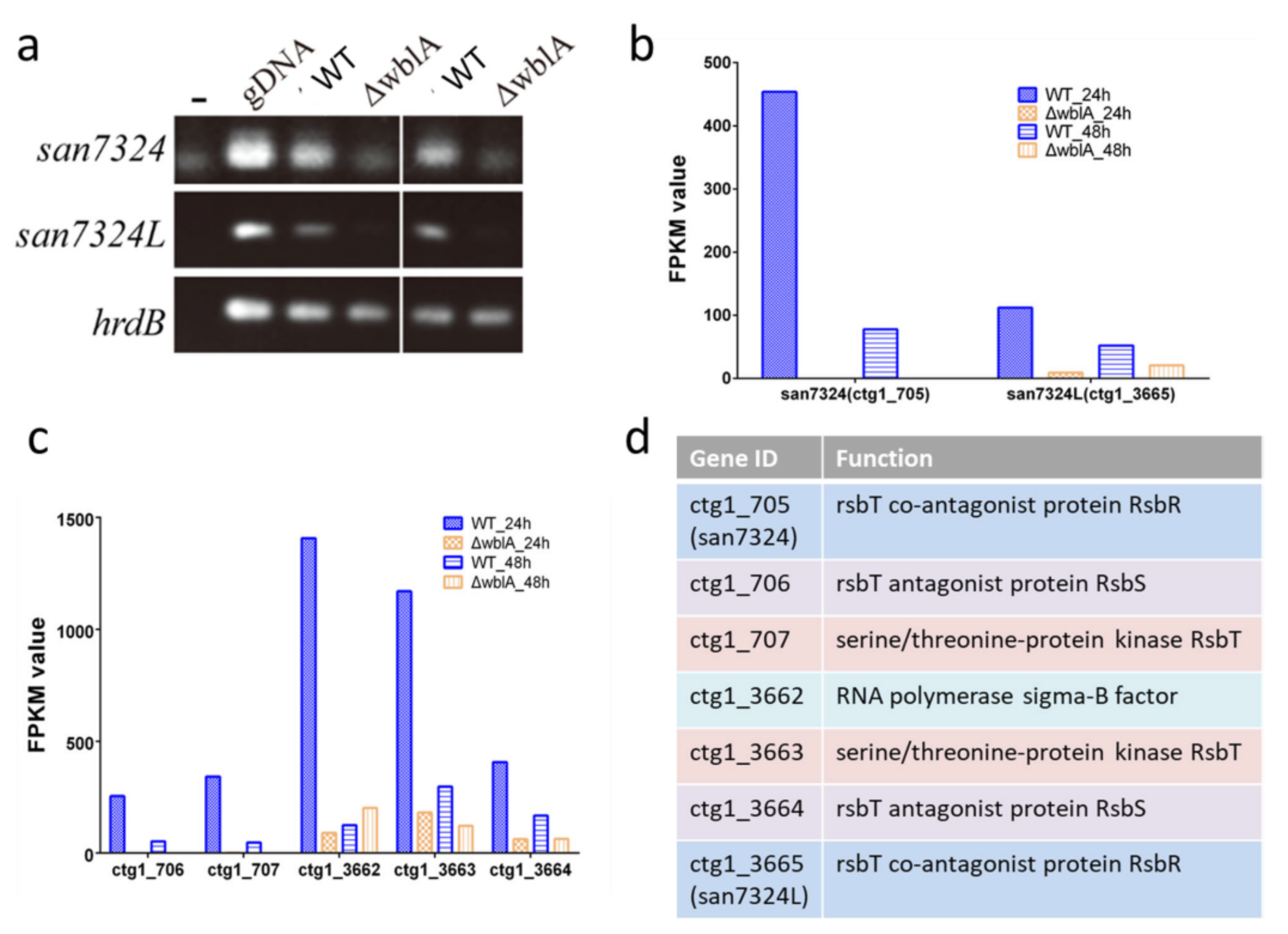 Antibiotics 10 01097 g004
