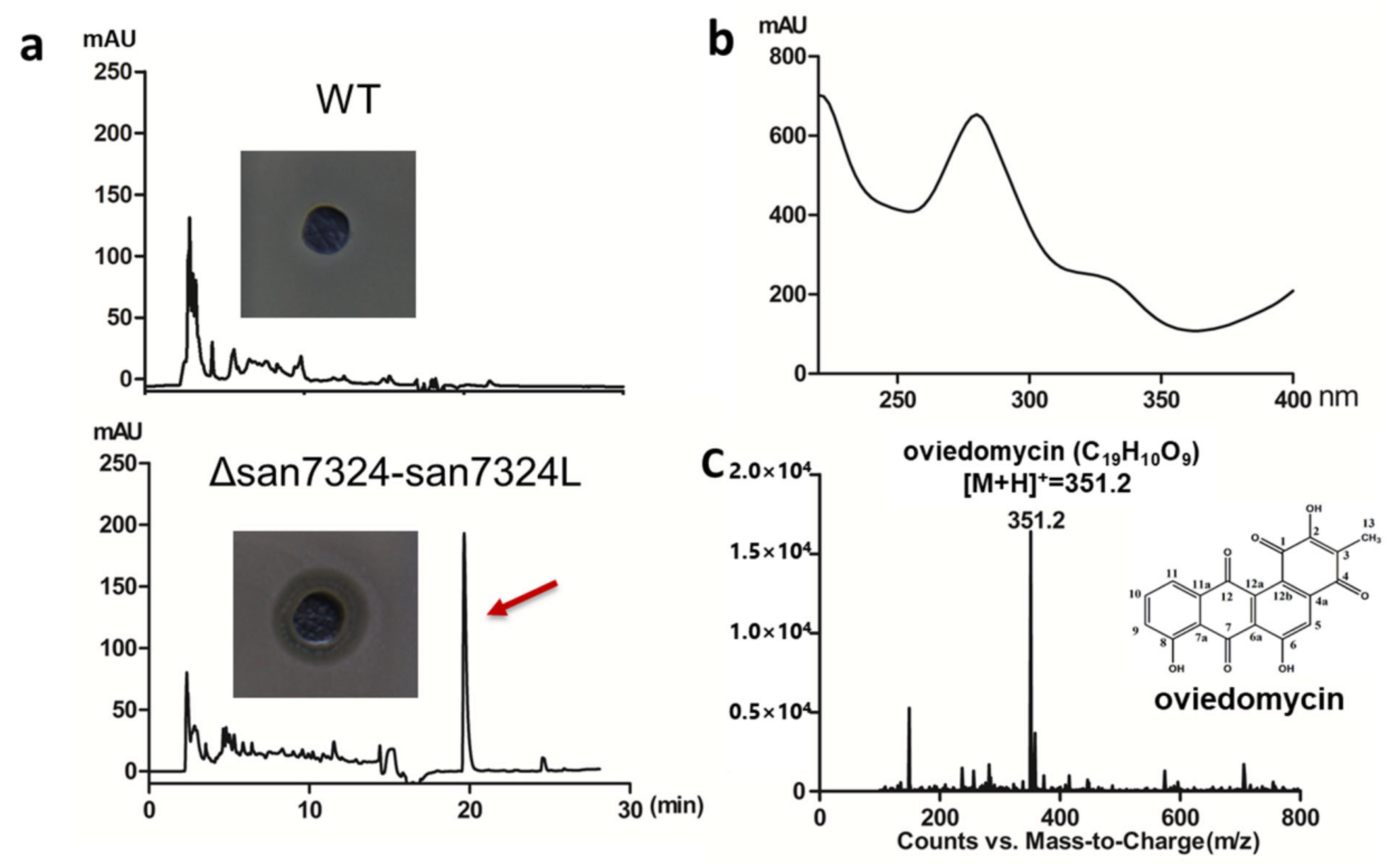 Antibiotics 10 01097 g005